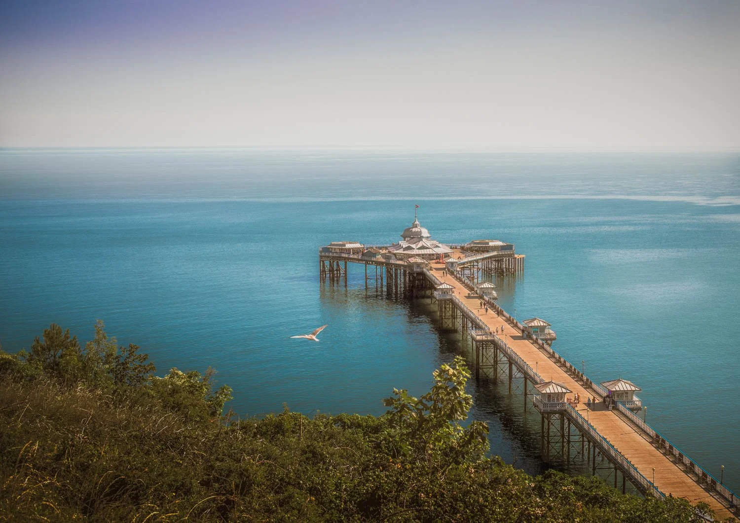 Sungull in Flight Over Sunlit Pier Llandudno 2025 07 -60-2.jpg