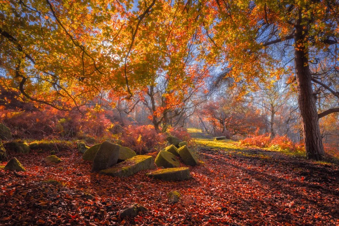 Autum Glow 2023 11-2.jpg