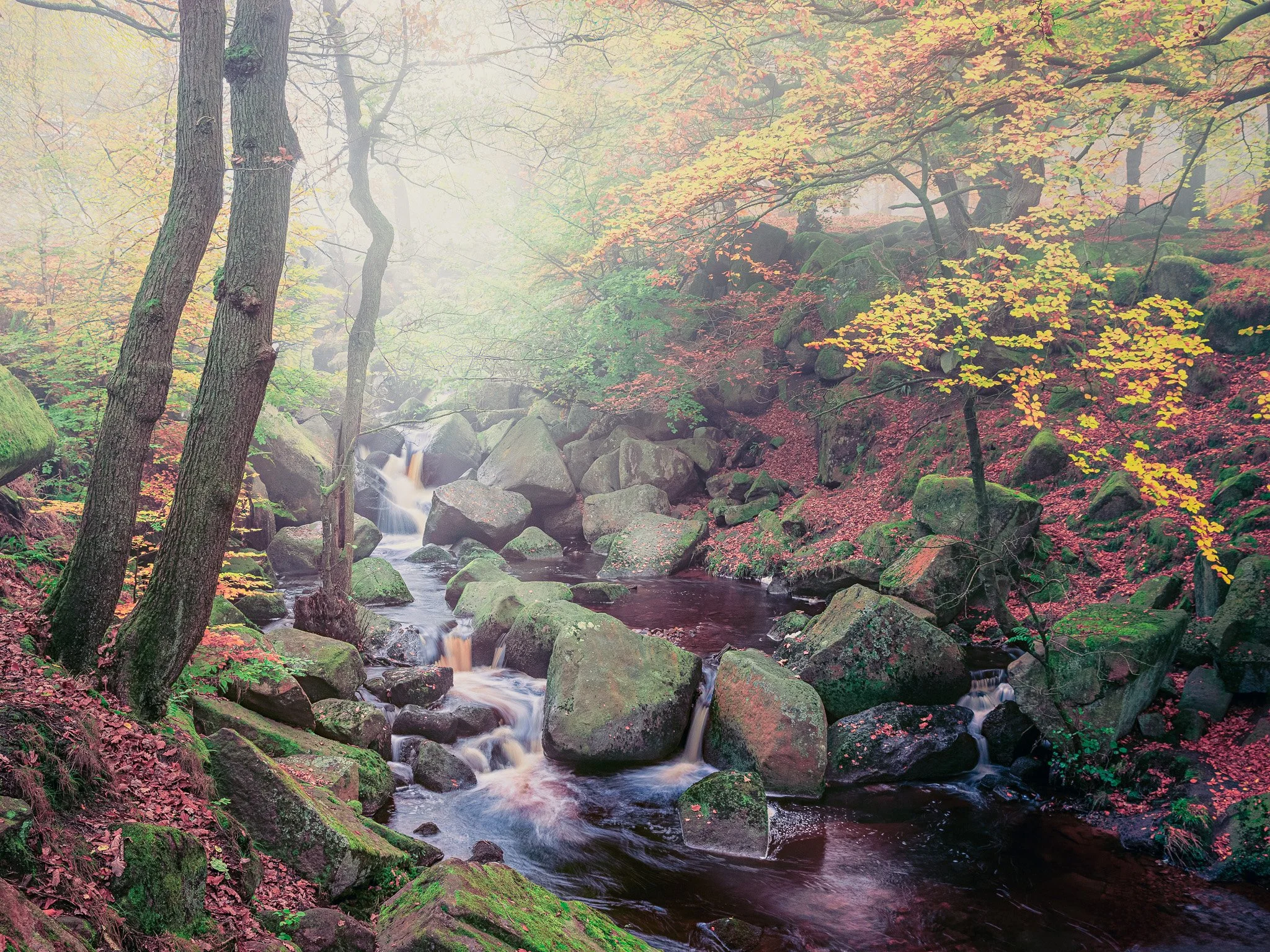 Padley Gorge 2024 10-171.jpg