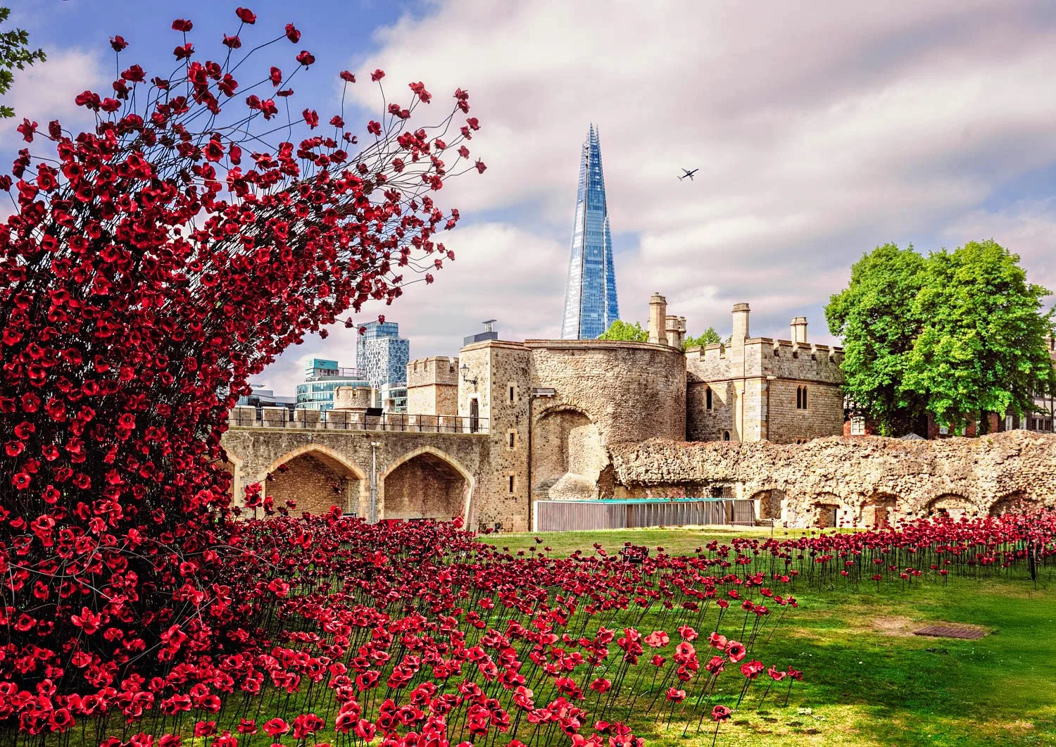 Remembrance in the Shadow of the Shard”London 2025 05-257.jpg
