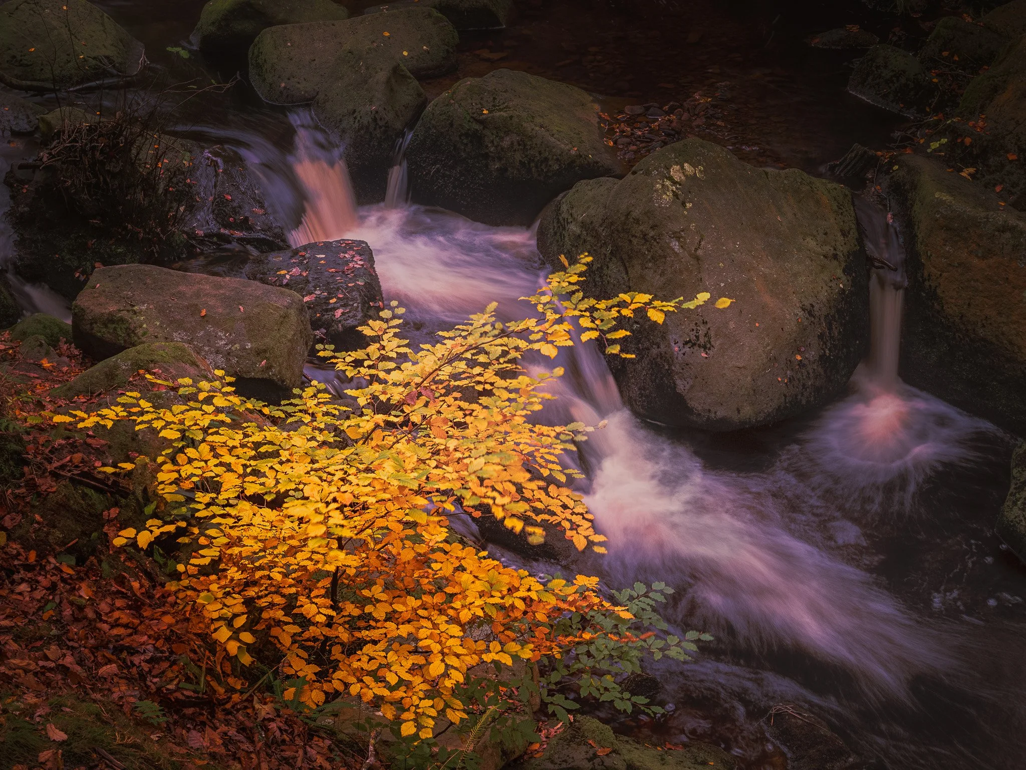Padley Gorge 2024 10-157.jpg