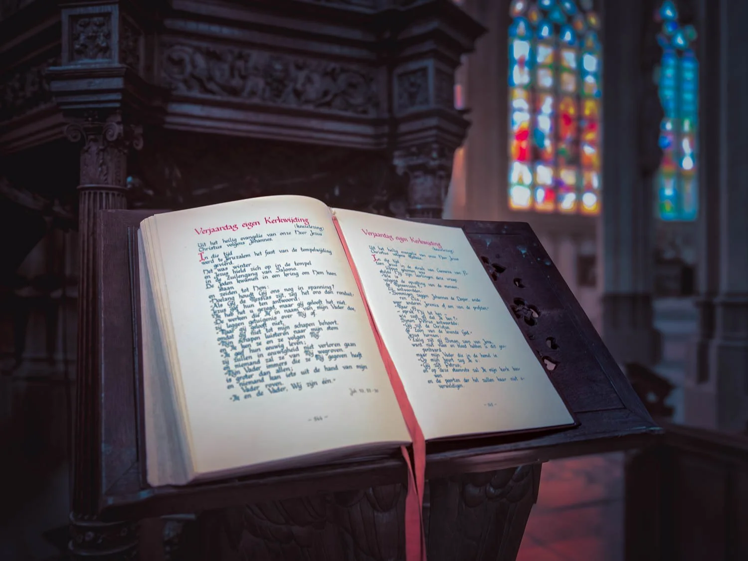 Westelbeers 2025 05-69.jpg