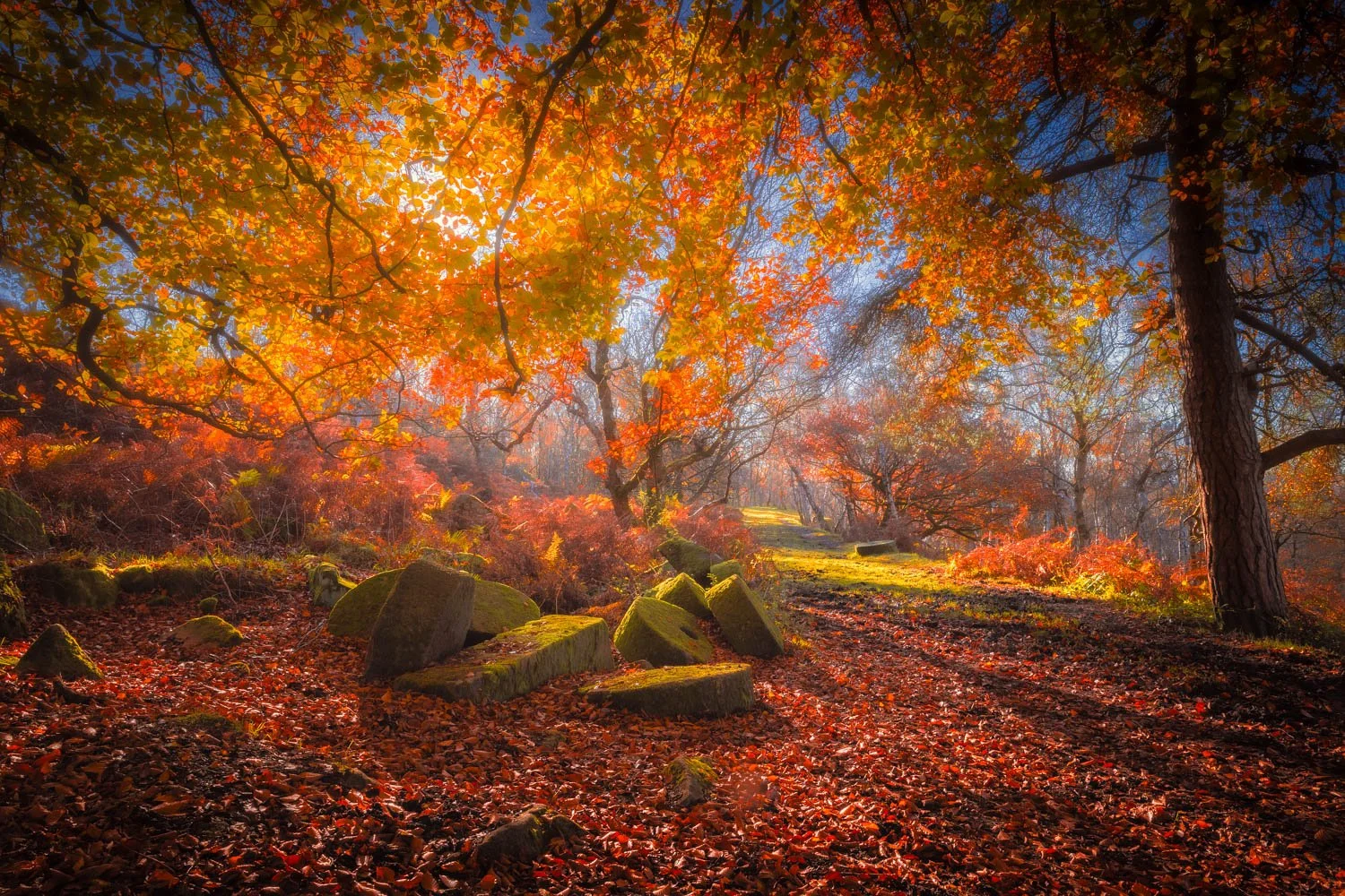 Autumn Glow Padley Gorge 2023 11-107.jpg
