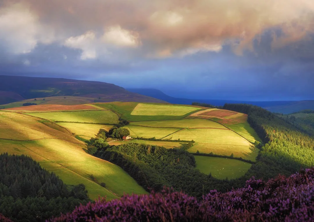 Farm on the Hill Derwent 2023 08-12-2.jpg