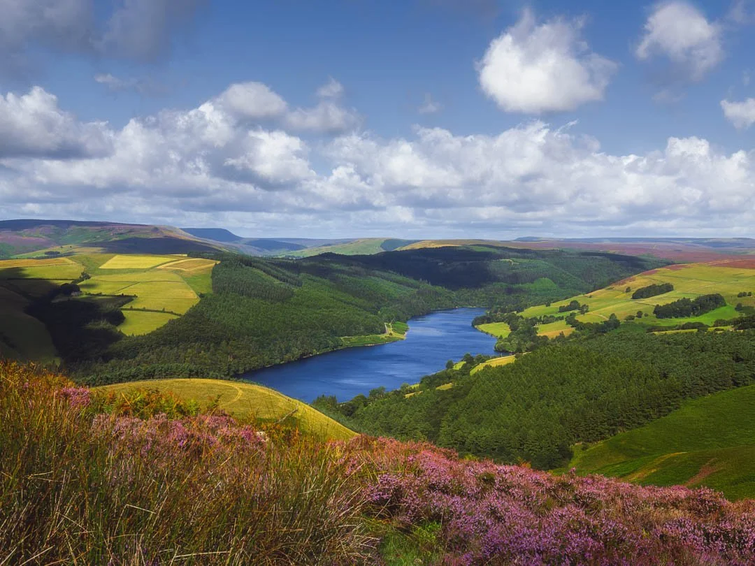 Derwent 2023 08-119-2.jpg