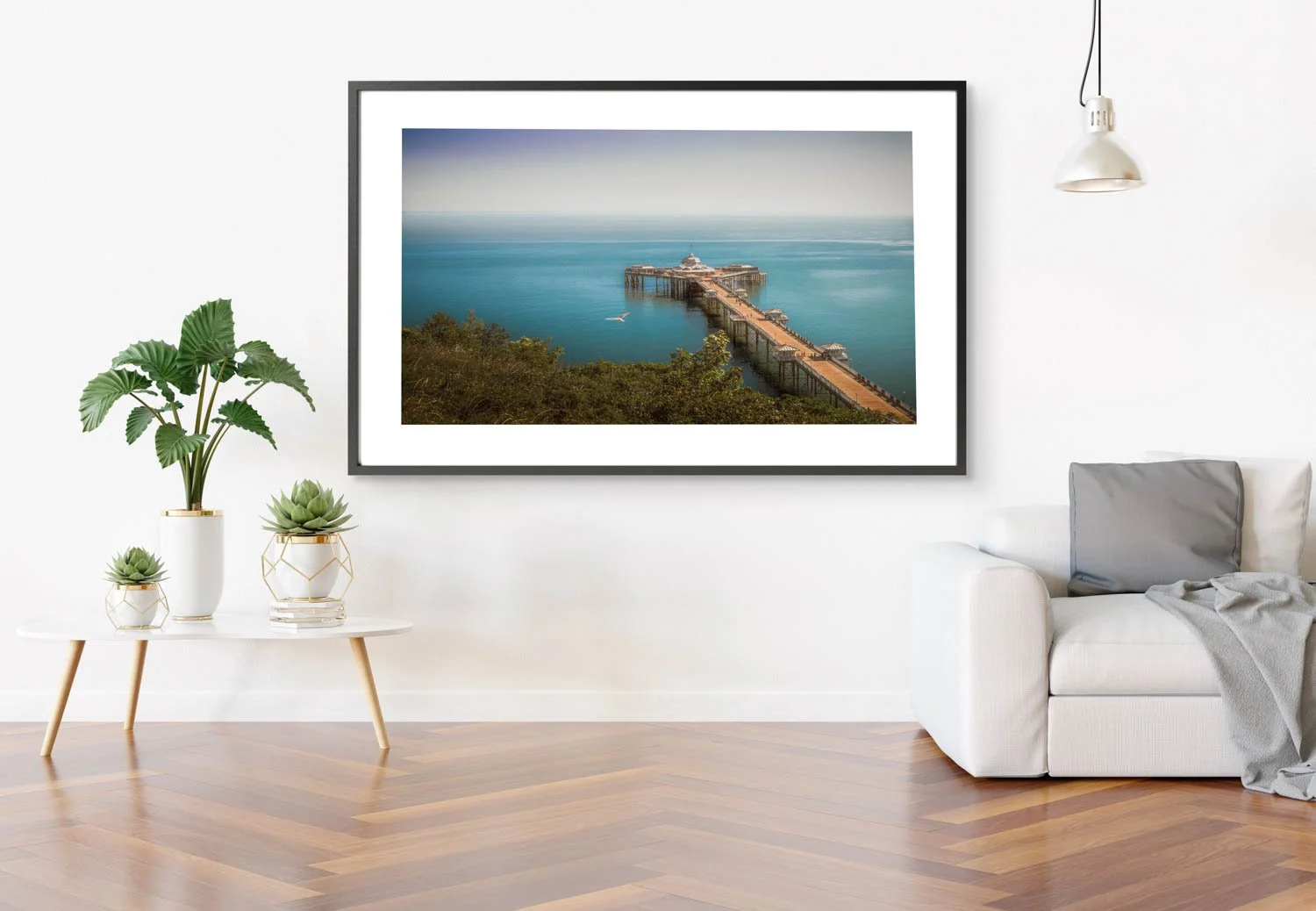 Sungull in Flight Frame 2 .jpg