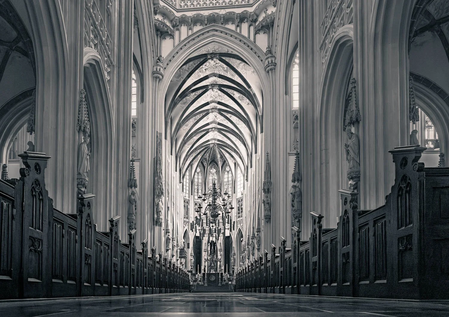 Westelbeers 2025 05-194-2.jpg