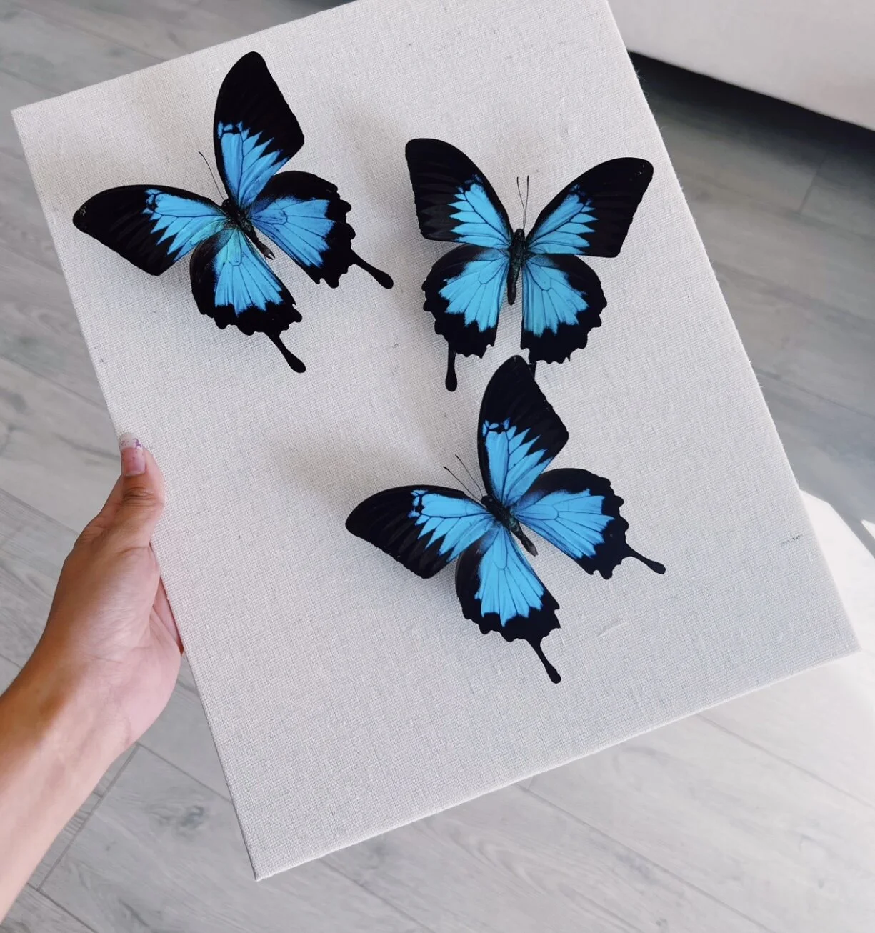 27B5406B-FD01-40FB-A374-FEB145631F04