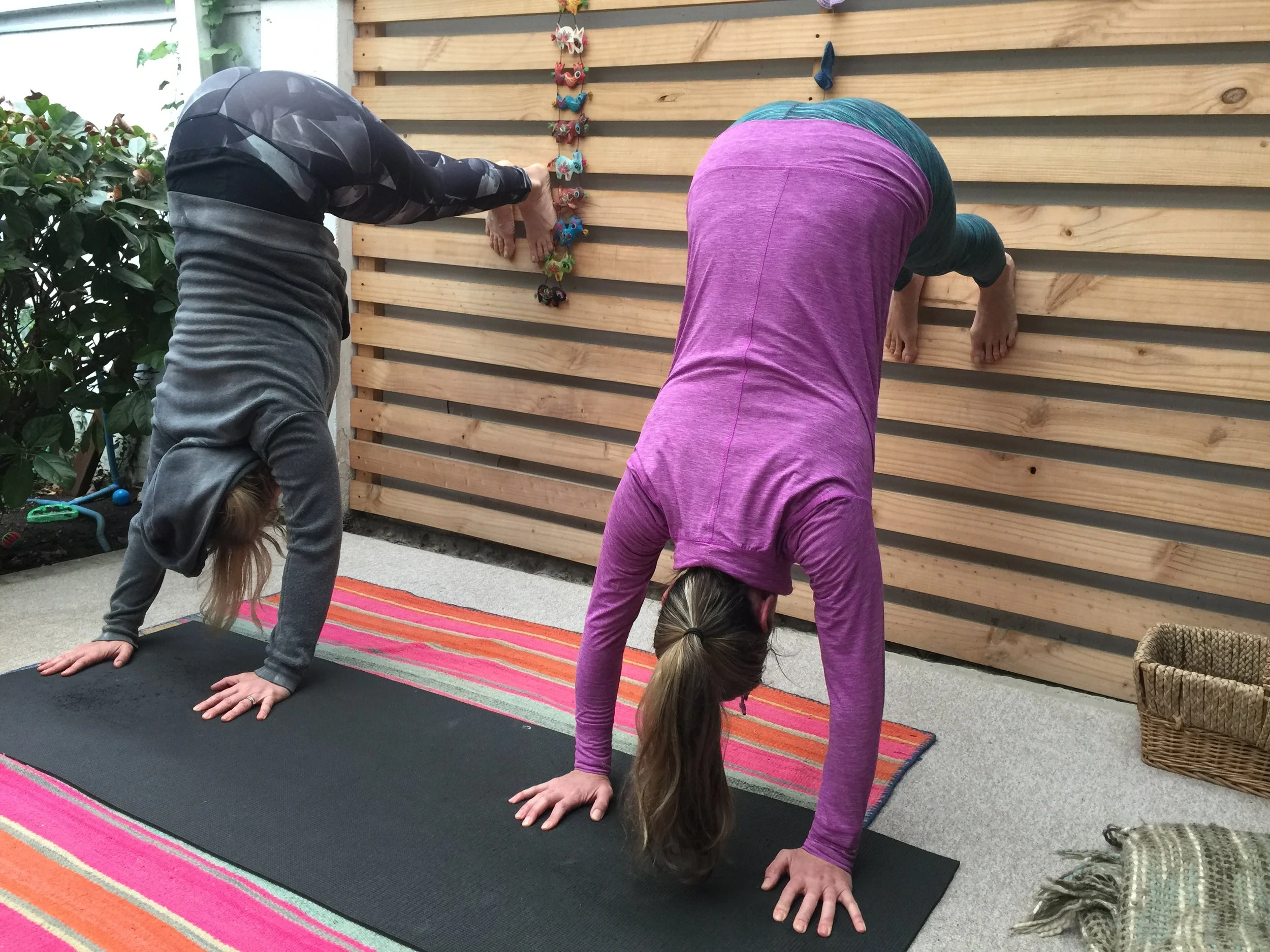 yoga garden studio.JPG