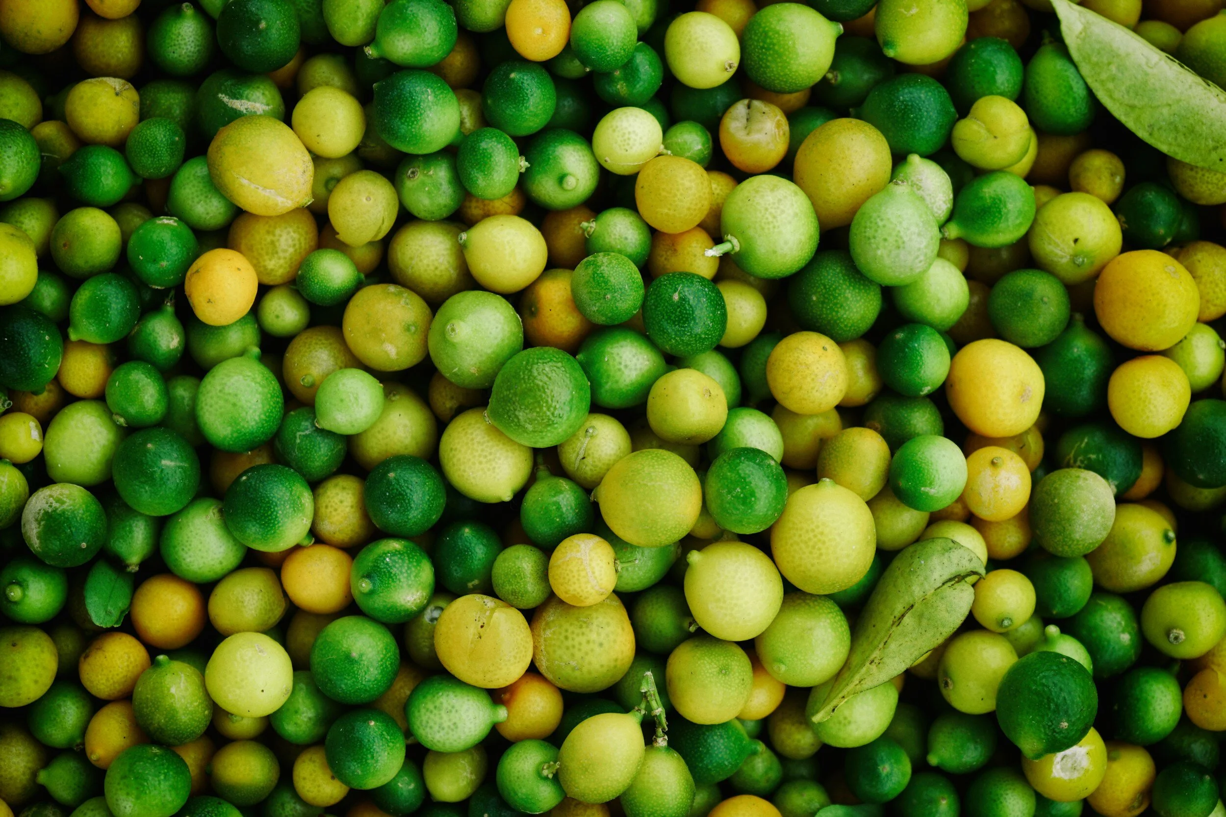 Close-up of numerous green and yellow limes and a lime leaf.