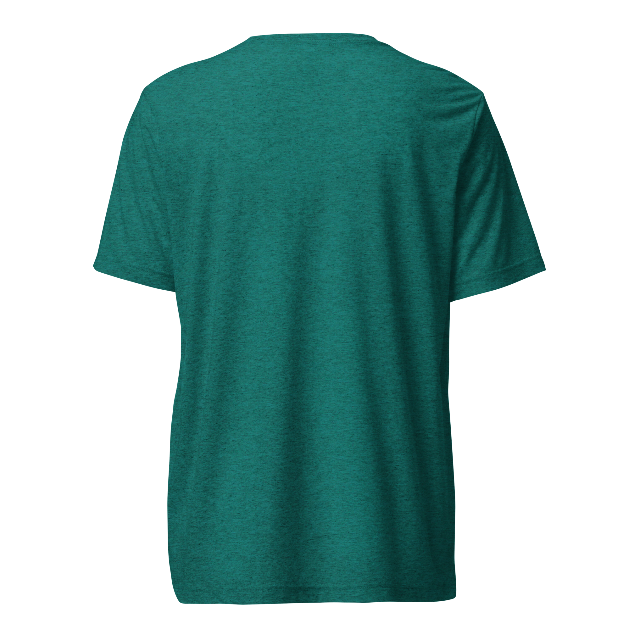 unisex-tri-blend-t-shirt-teal-triblend-back-69389f2305c75.png