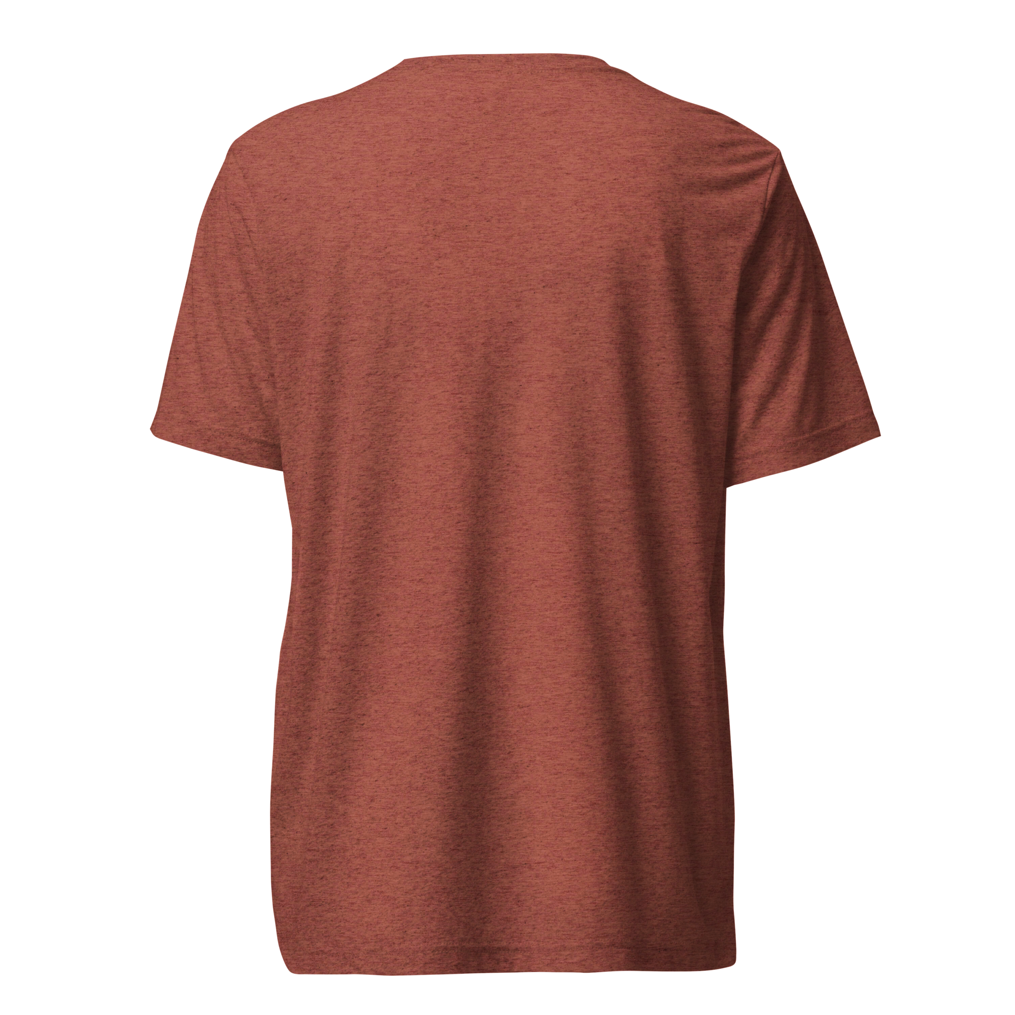 unisex-tri-blend-t-shirt-clay-triblend-back-69389f2305b1a.png