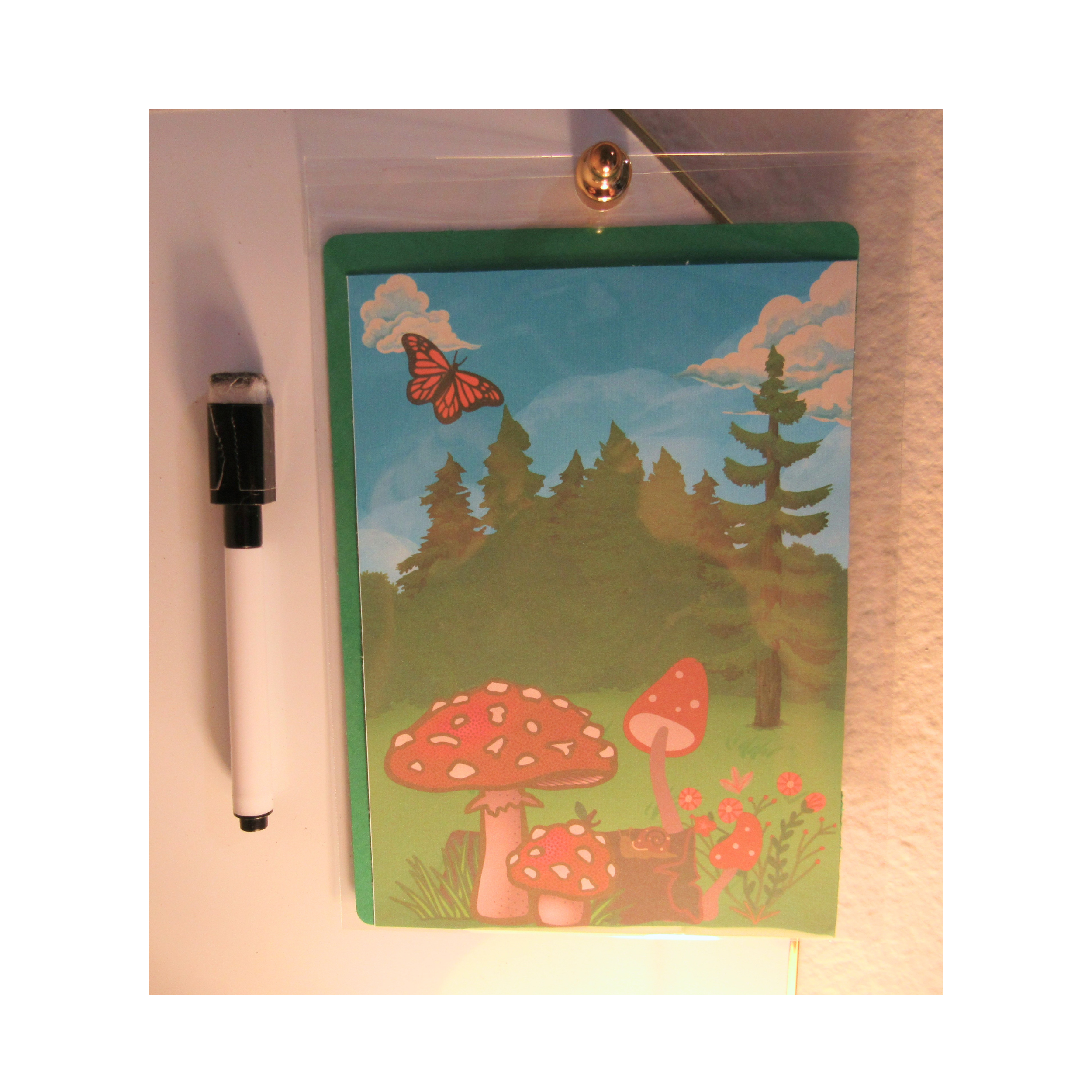 mushrooms 2.png