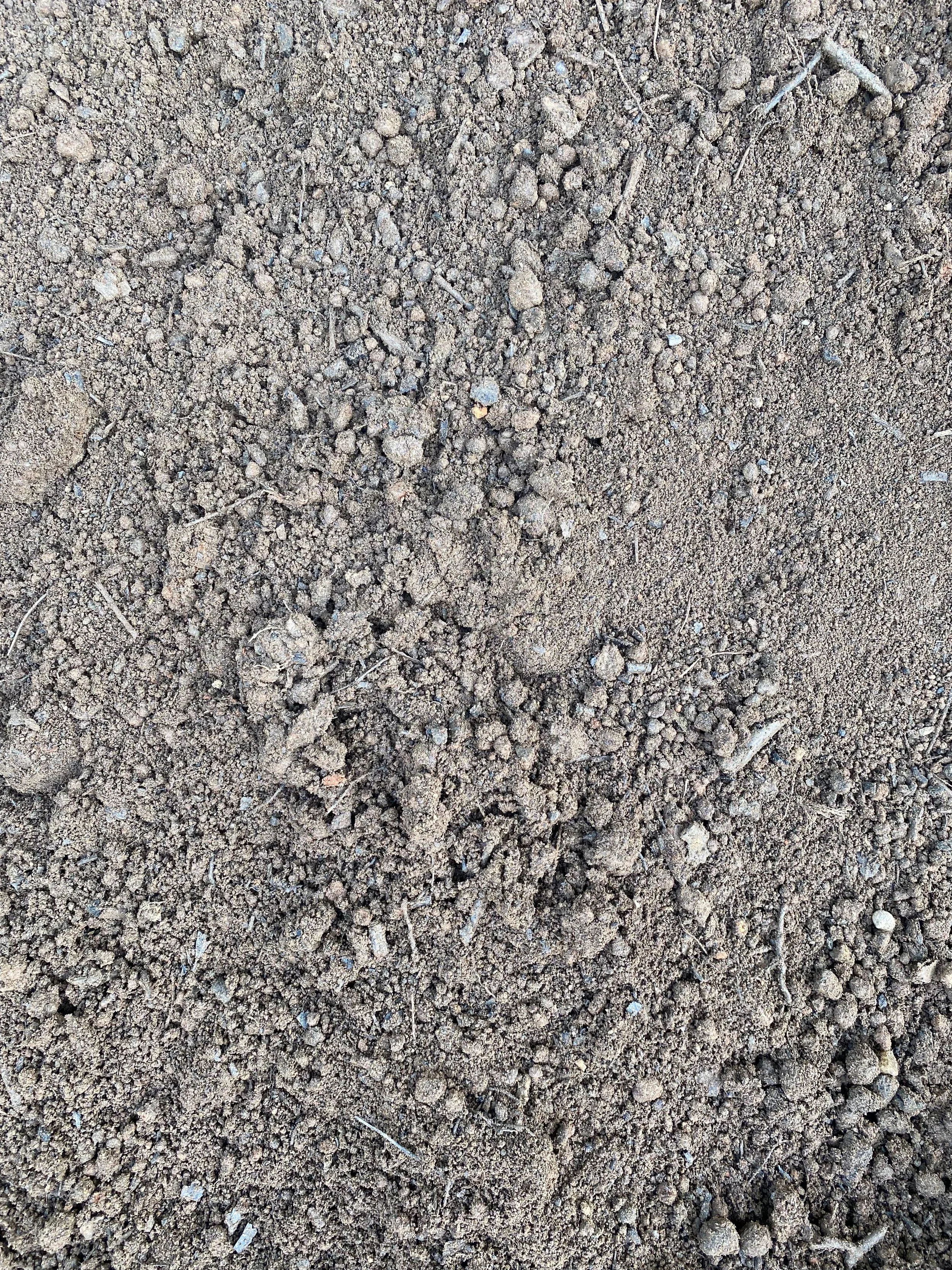 Screened Topsoil