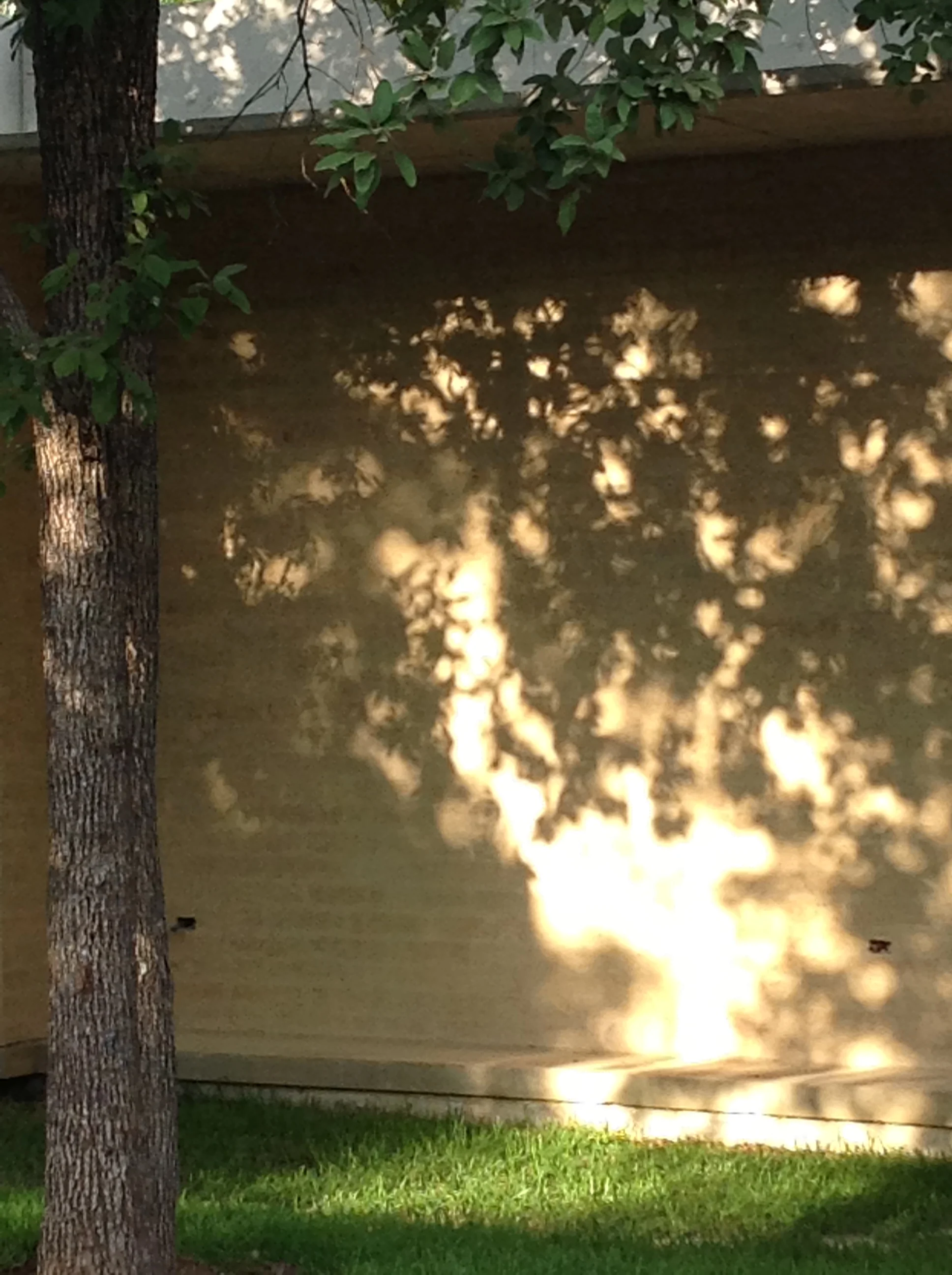 2013-04-21 18.41.03.jpg