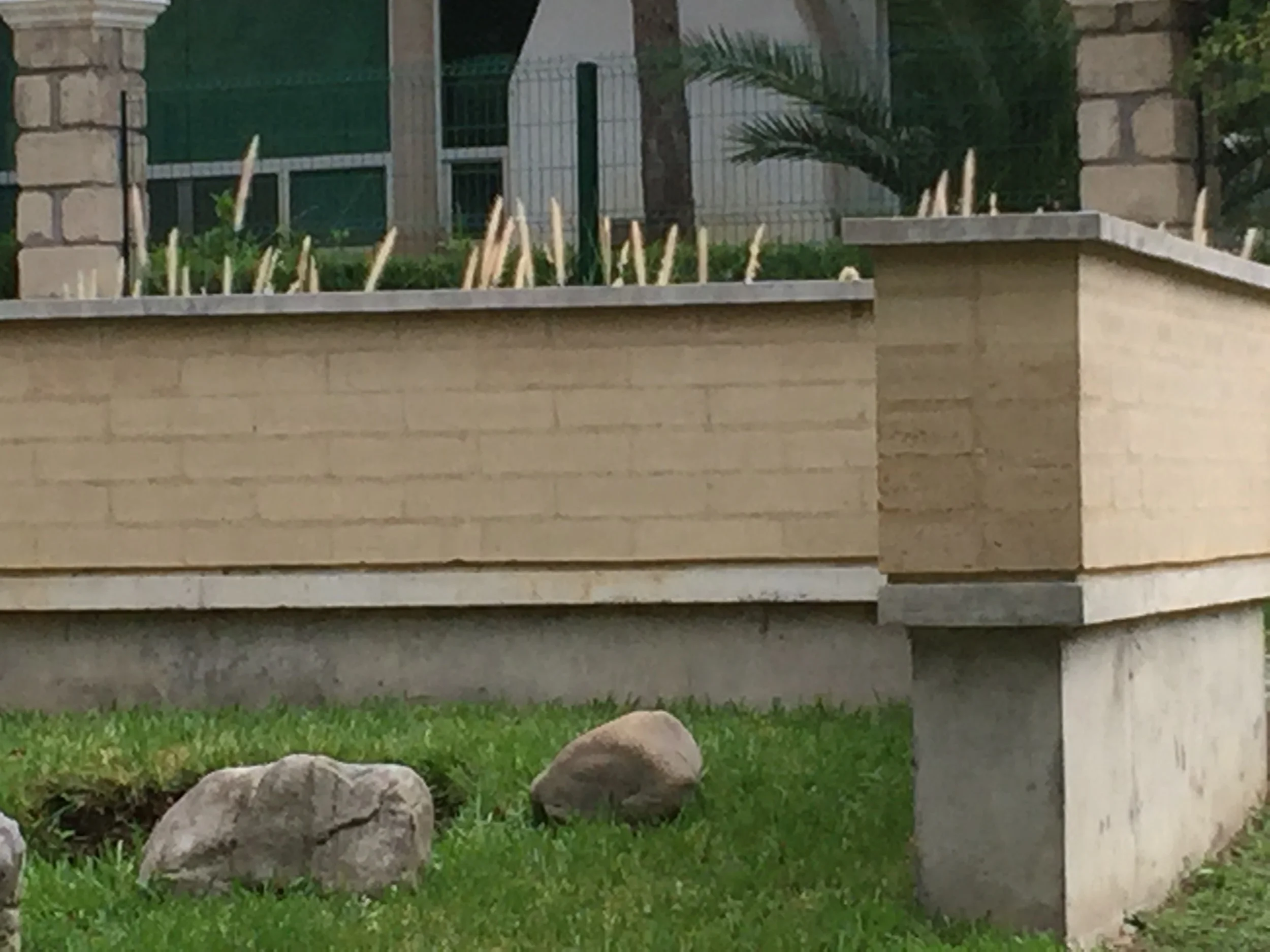 Foto 25-07-15 19 05 00.jpg