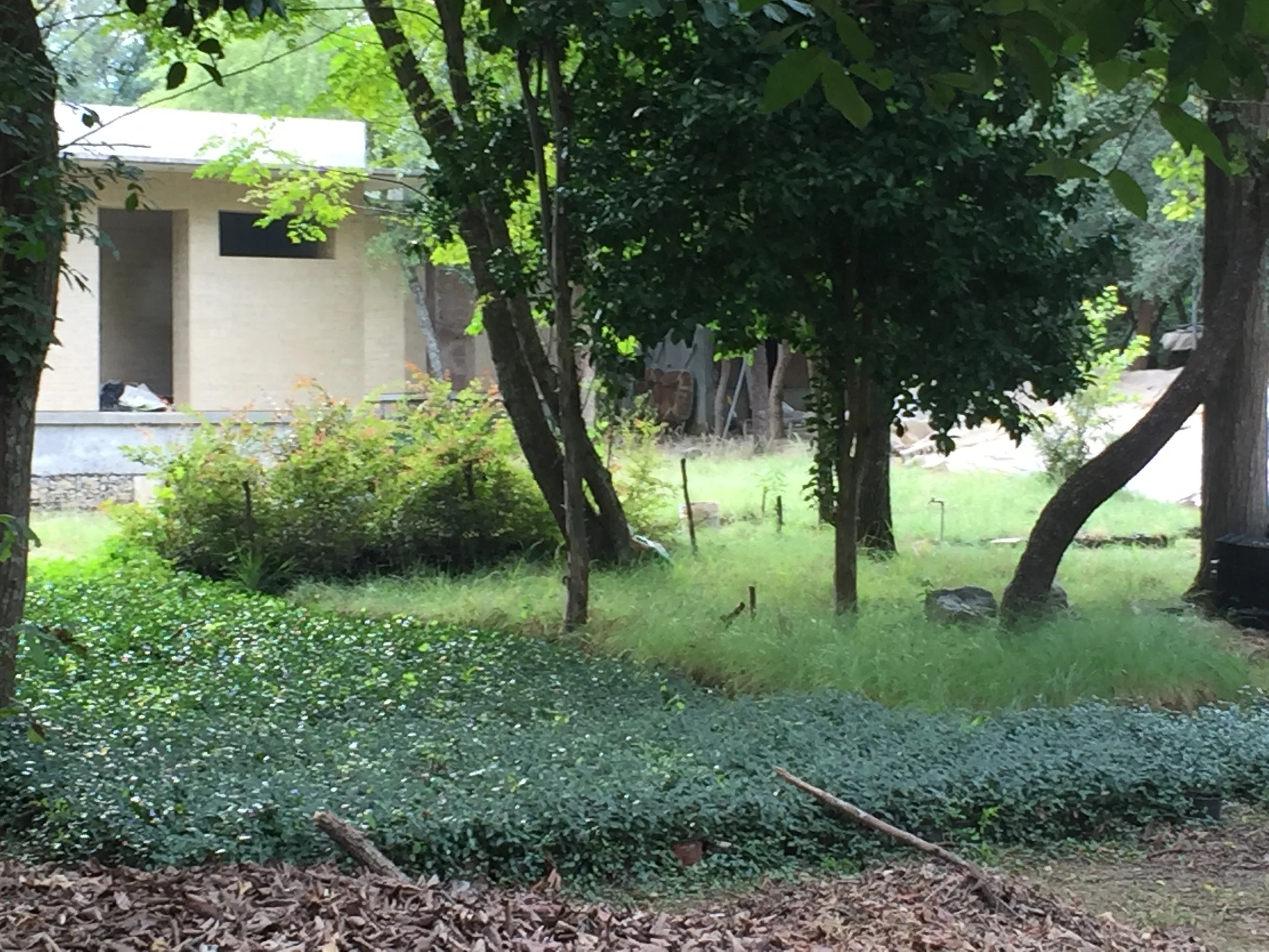 Foto 25-07-15 18 58 56.jpg