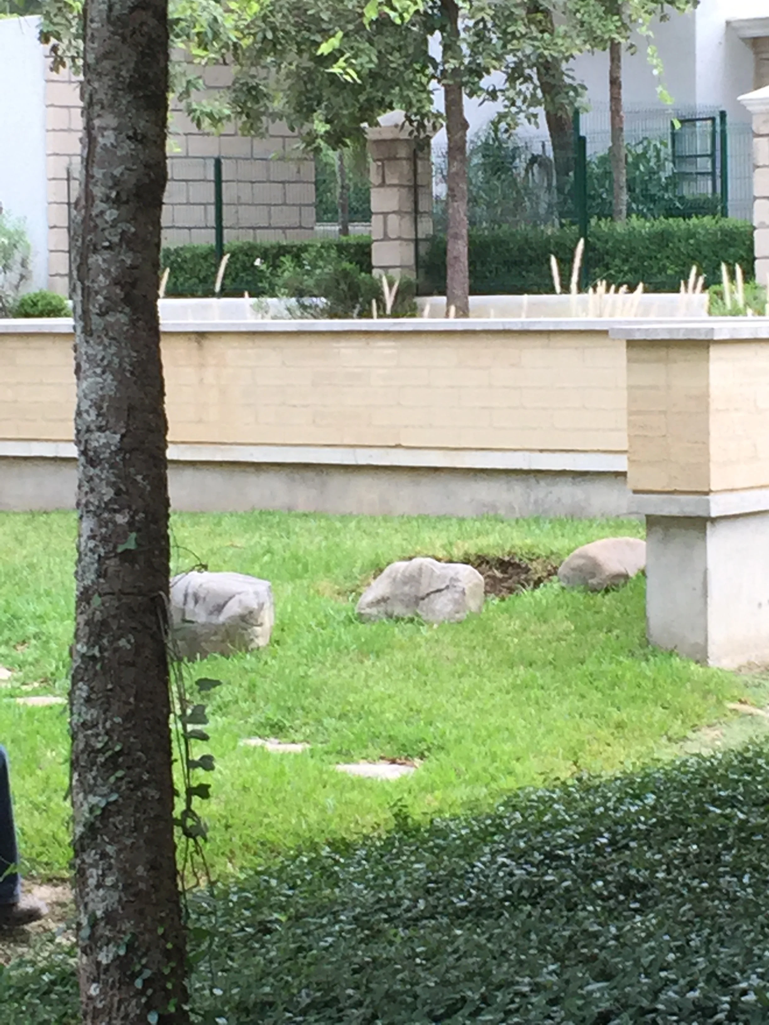 Foto 25-07-15 19 07 02.jpg