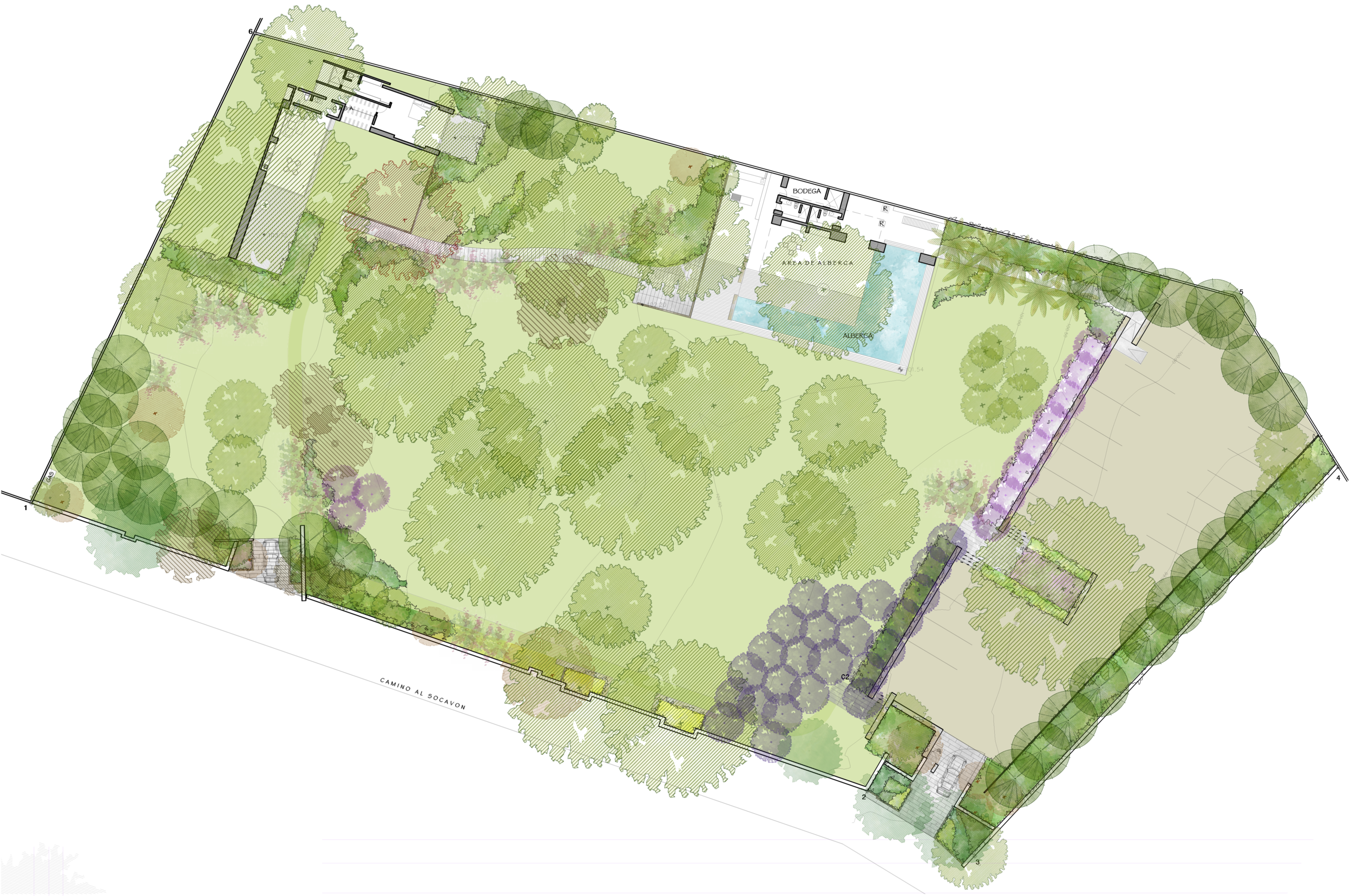 PLANTA COLOR 15 SEP.png