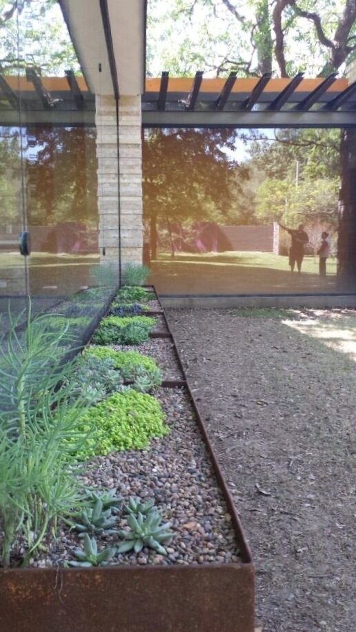 Foto 11-07-15 19 49 20.jpg