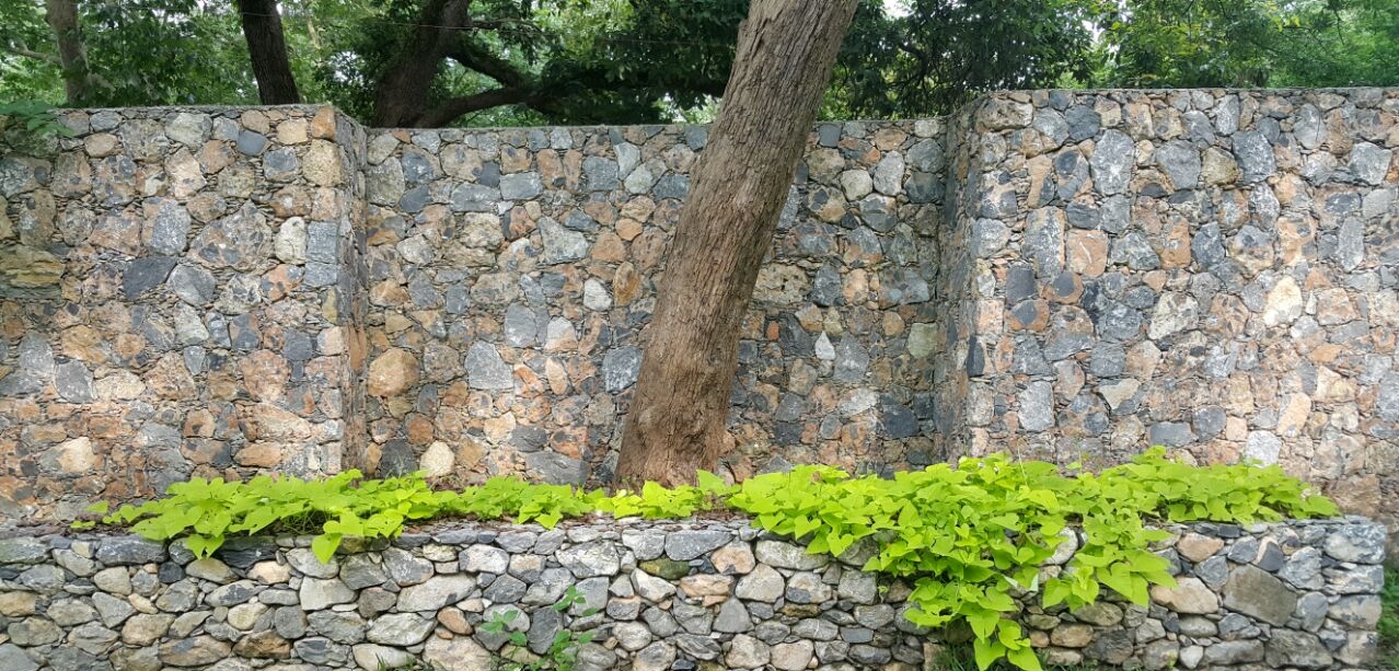 Foto 11-07-15 19 47 32.jpg