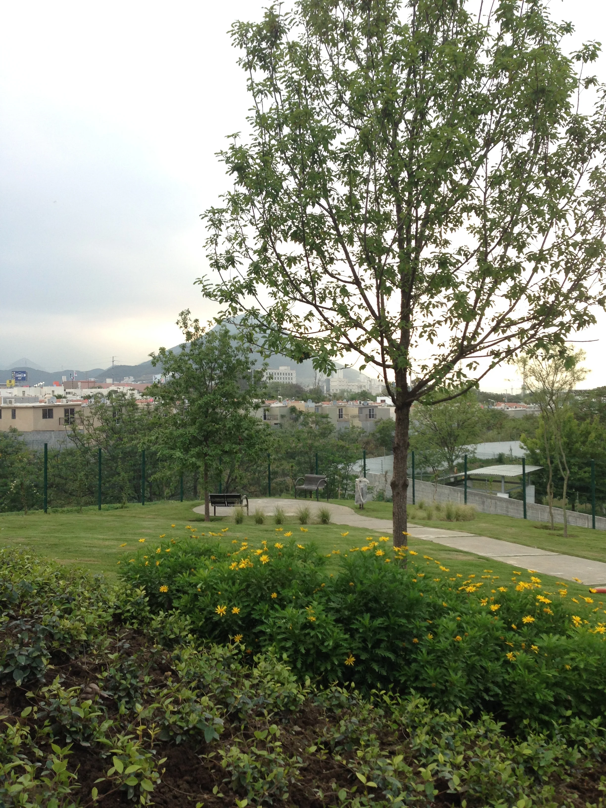 Foto 24-03-14 18 21 37.jpg