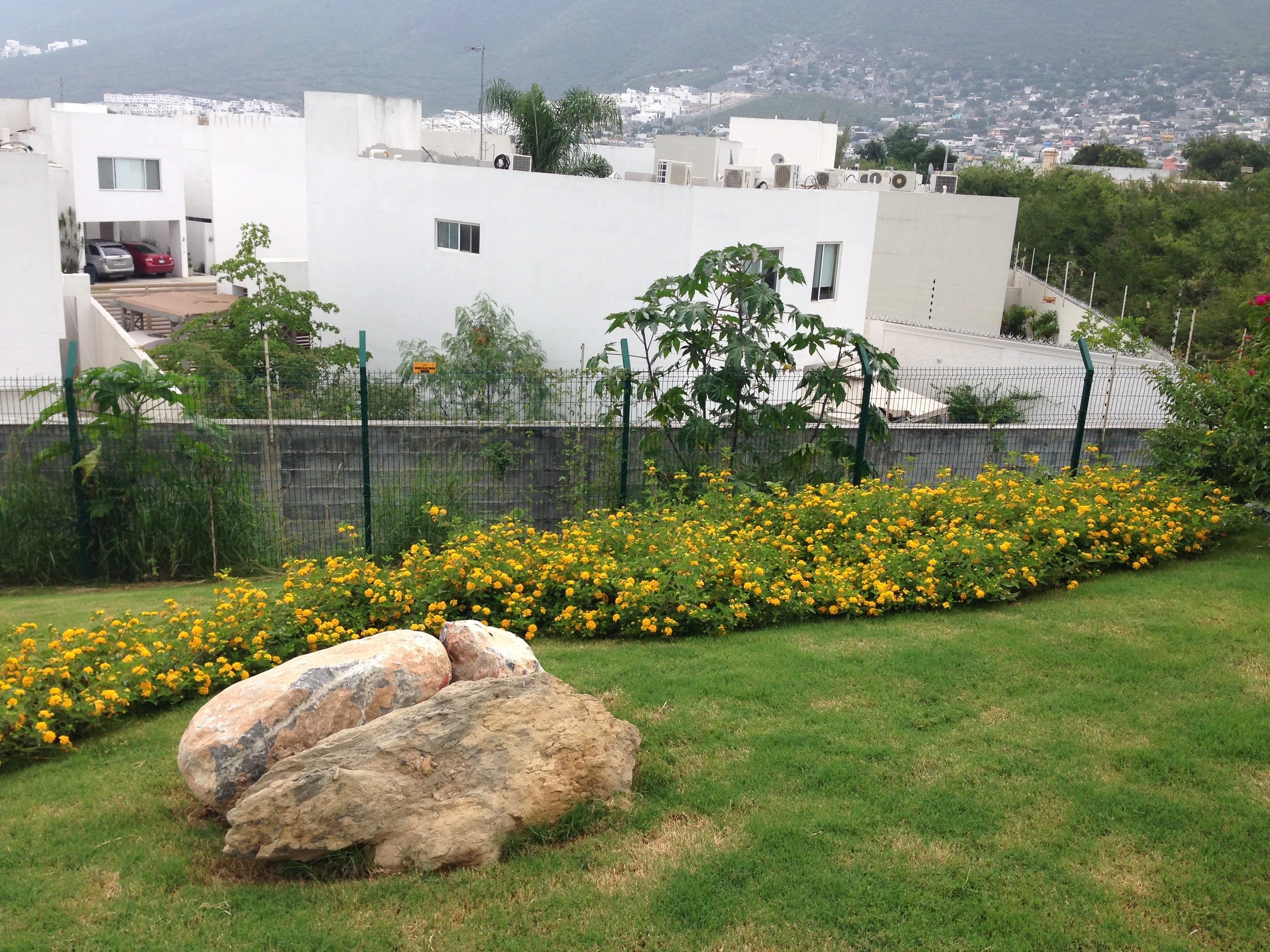 Foto 08-07-14 14 27 01.jpg