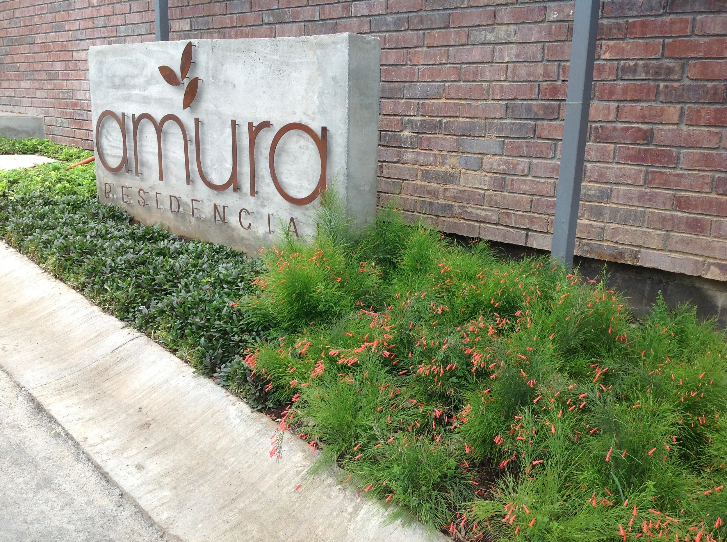 2013-05-24 13.01.42.jpg