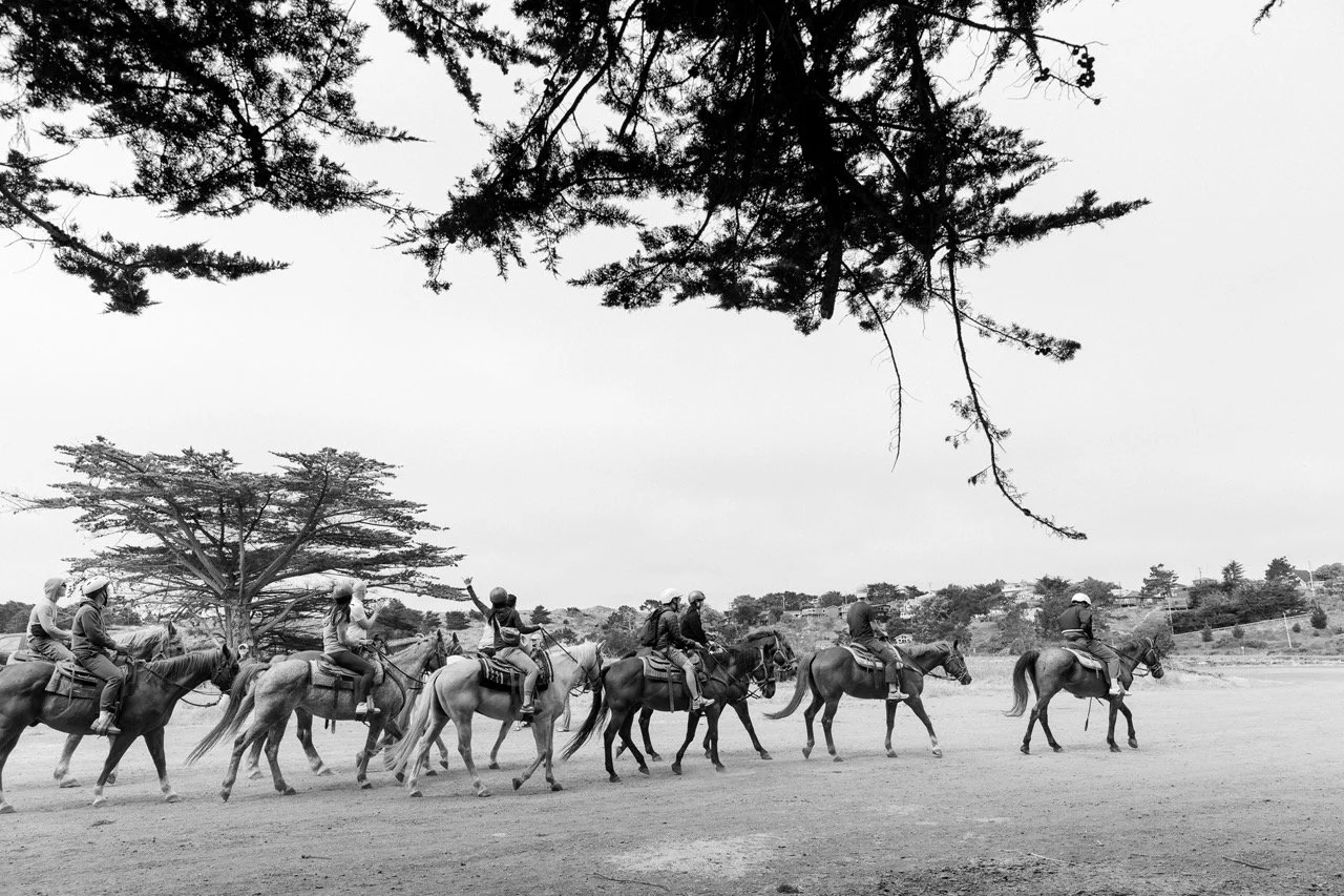 metronome-6189 Large.jpeg