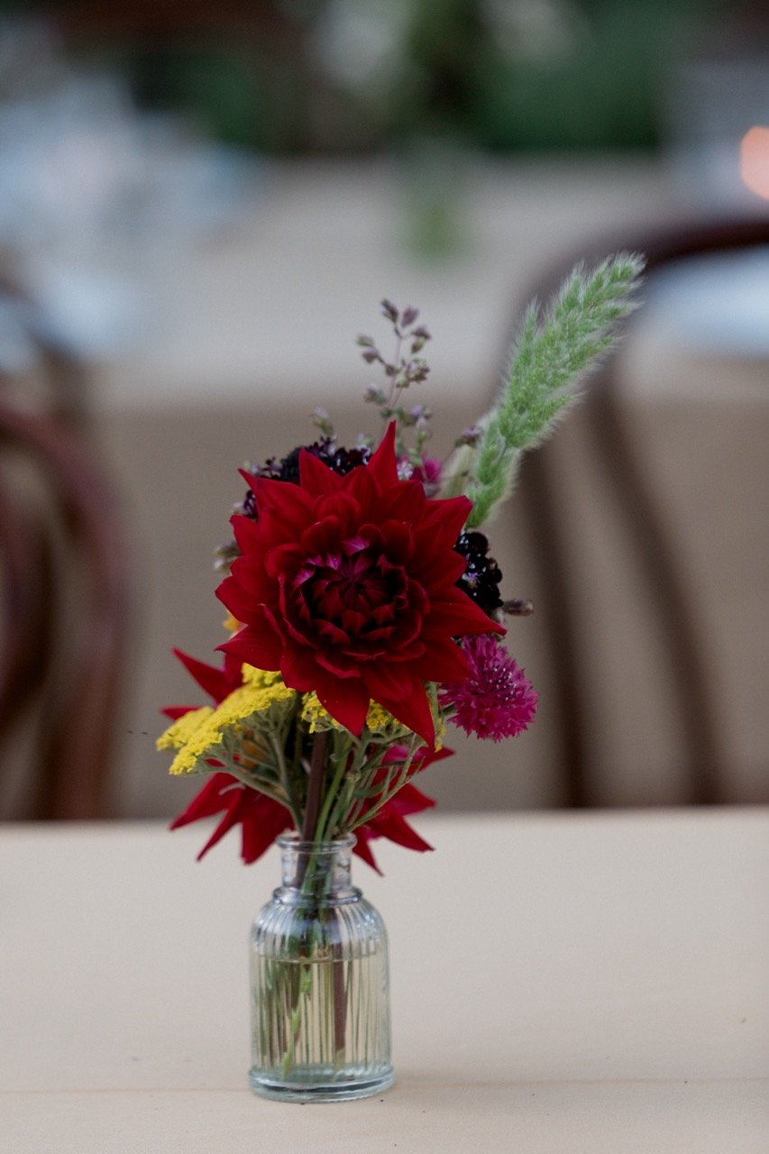 metronome-5983 Large.jpeg