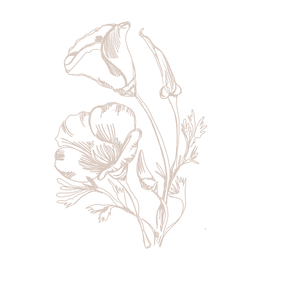 White line art illustration of poppy flowers on black background.