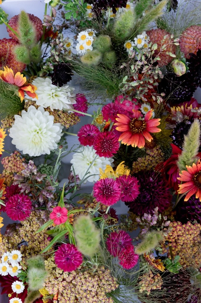 metronome-6332 Large.jpeg