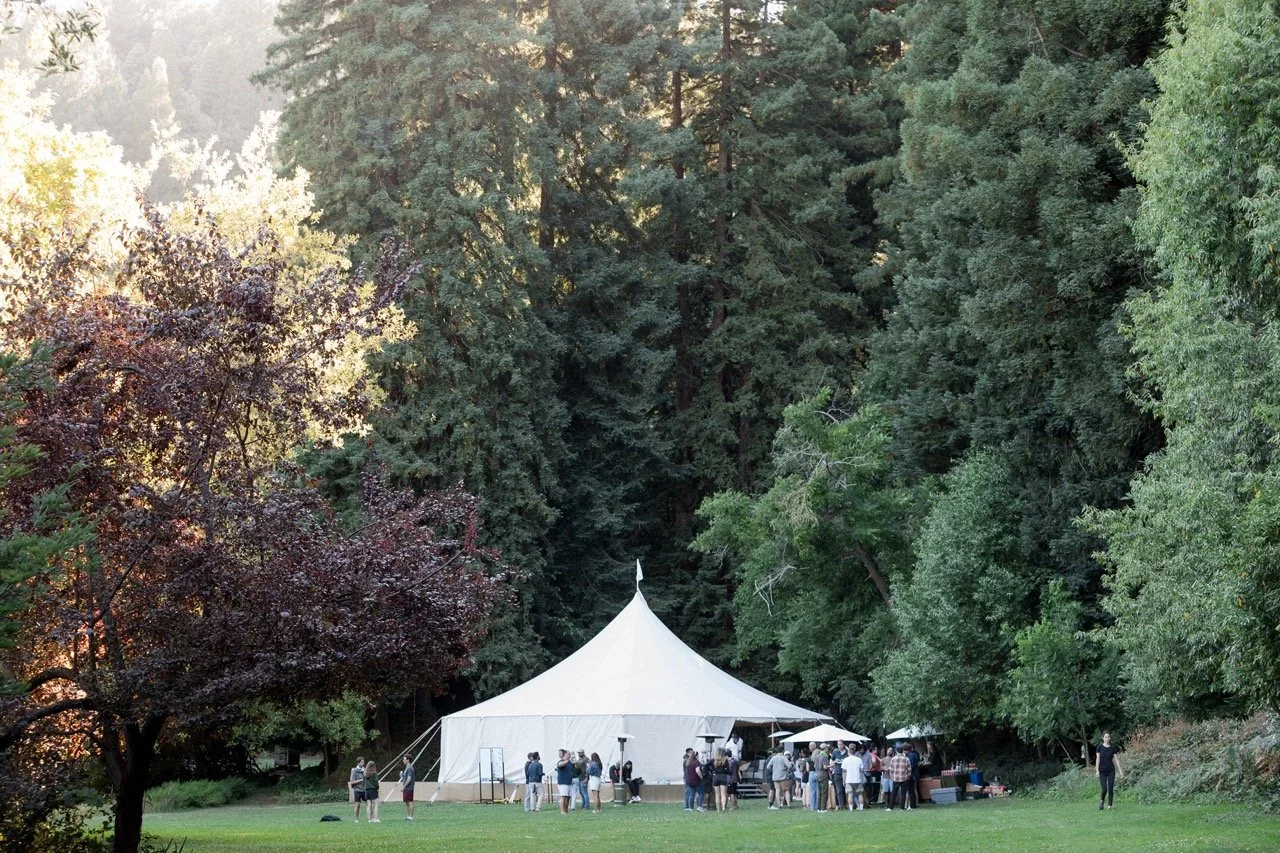 metronome-5522 (1) Large.jpeg