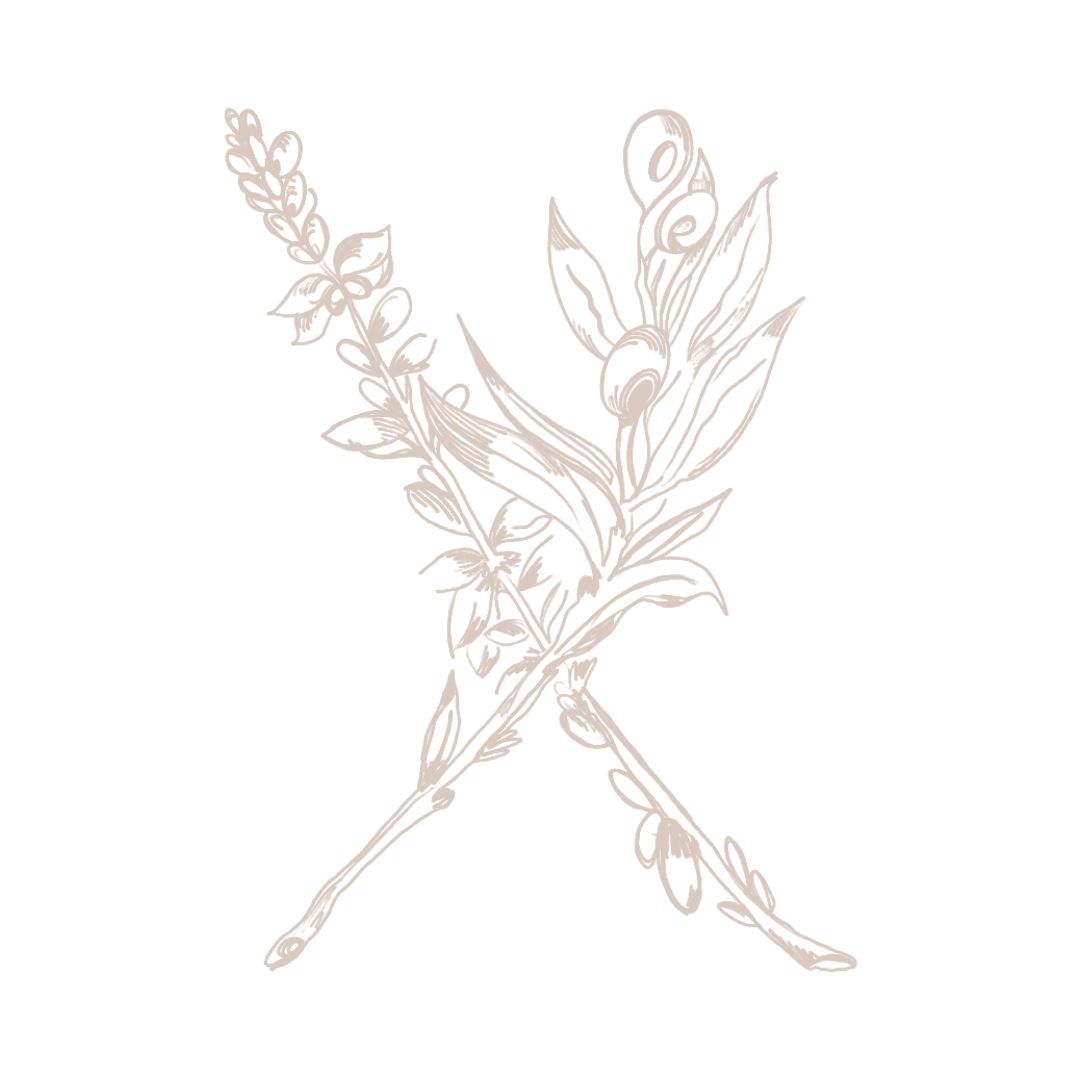 Illustration of a herb with stems, leaves, and flowers on a black background.