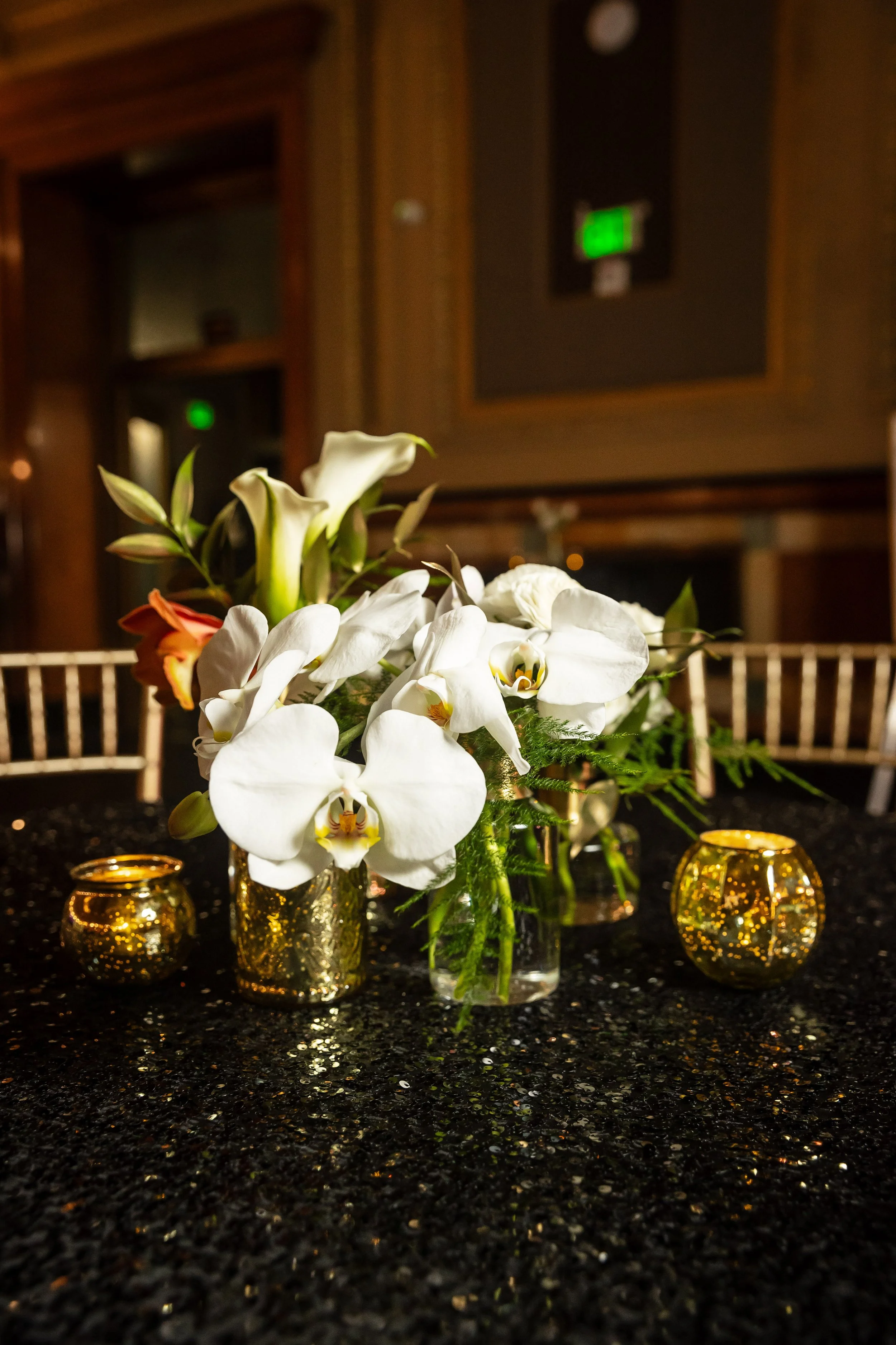 Hibernia Modern Gilded Age-0029 v2.jpg