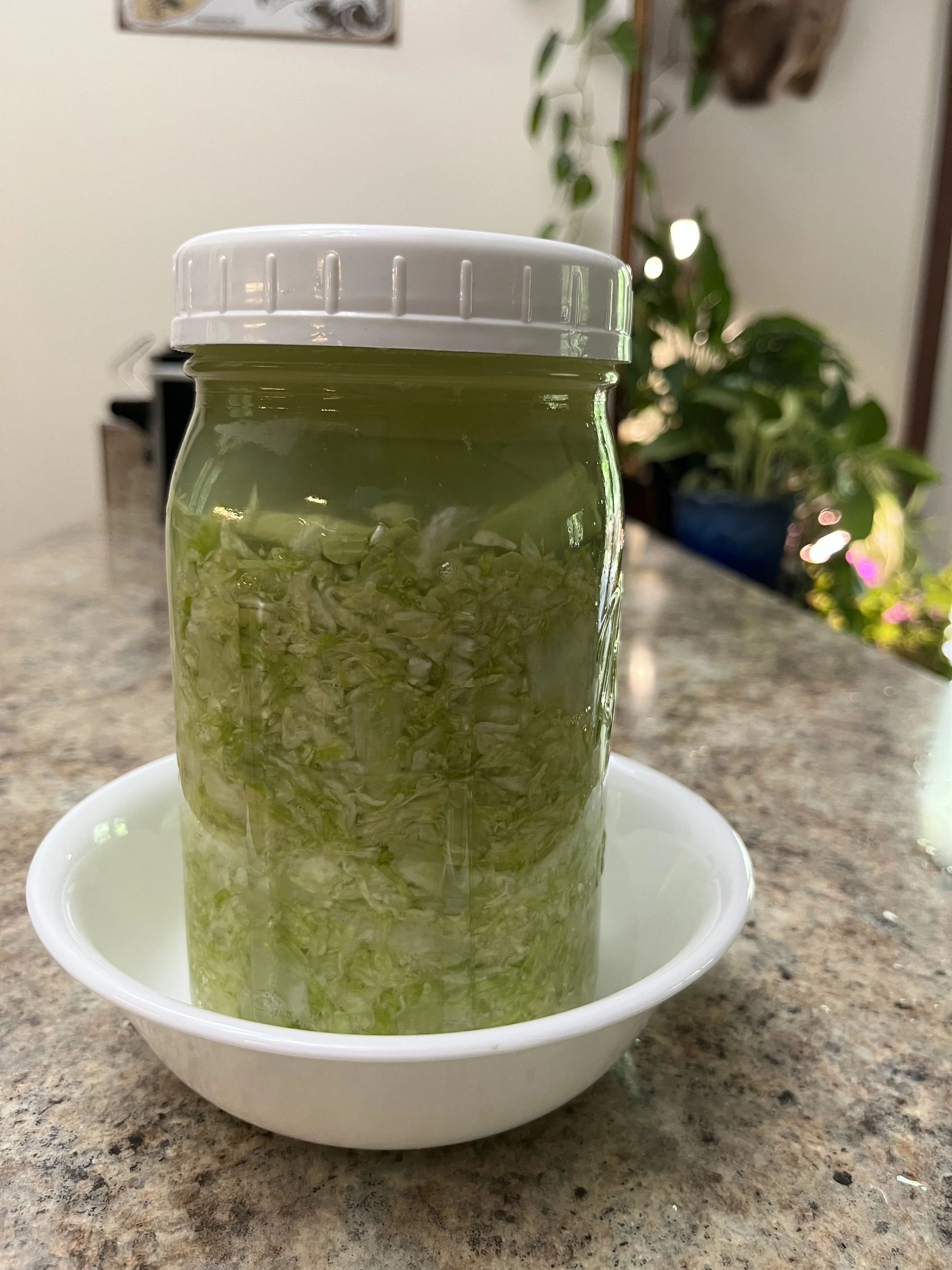 Small Batch Sauerkraut