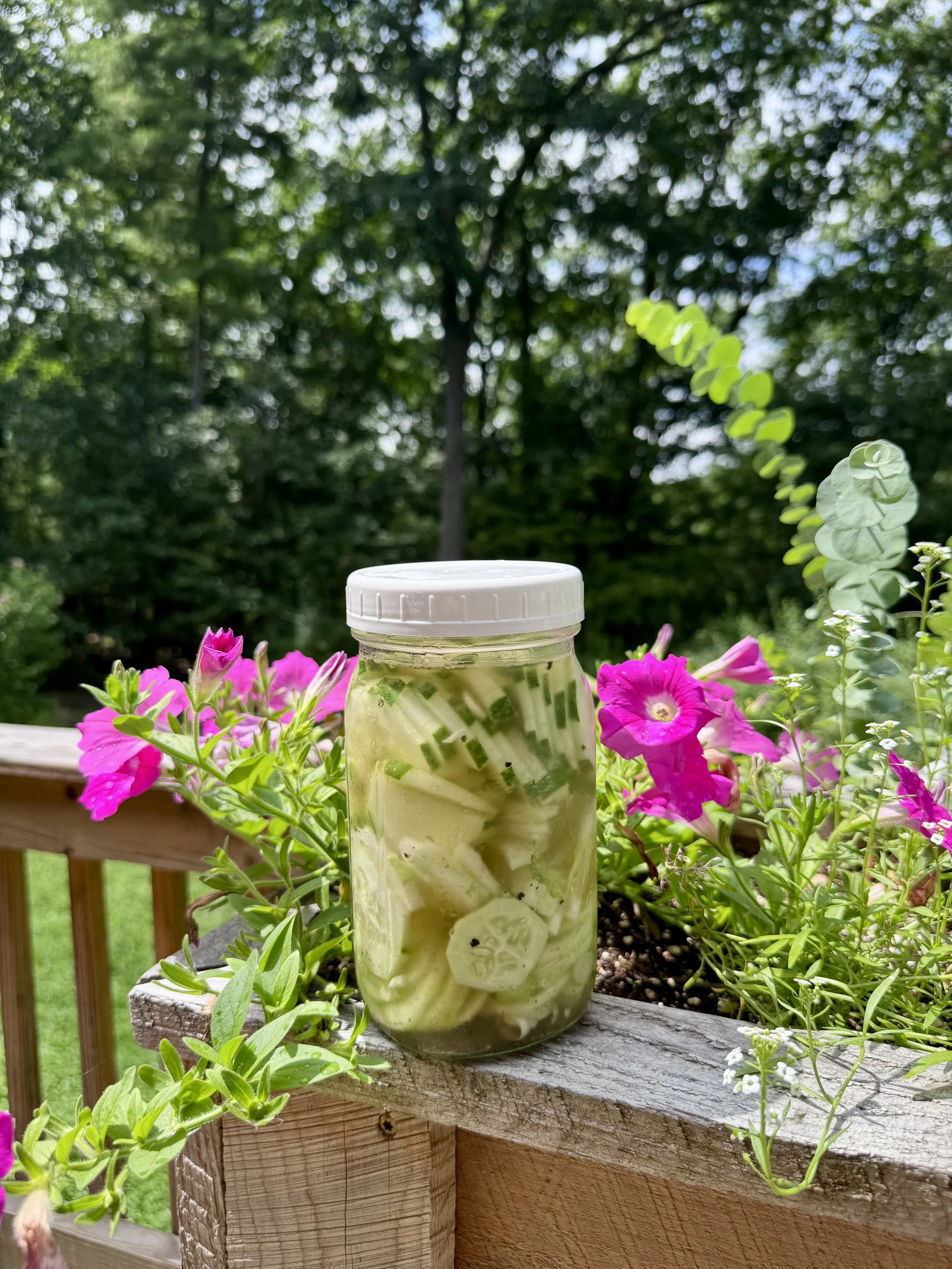 Cucumbers and Onions; A Picnic Perfect Recipe 