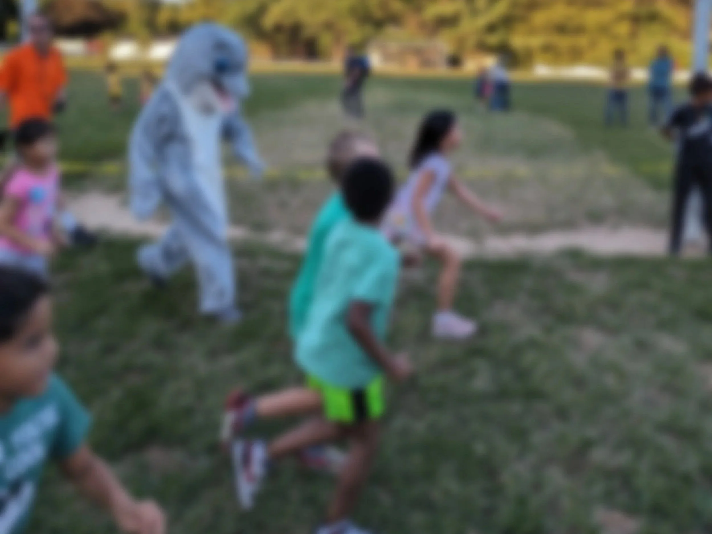 Dolphin Dash & Movie Night