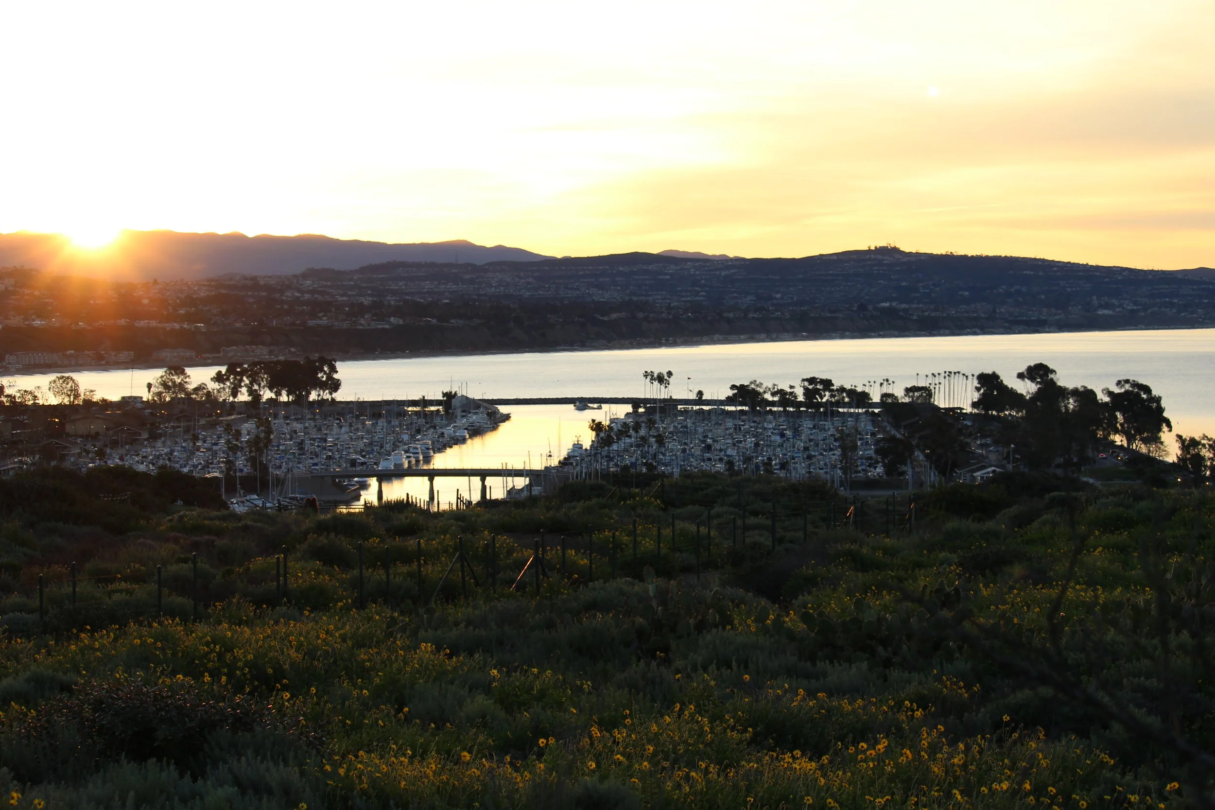 IMG_3860.JPG