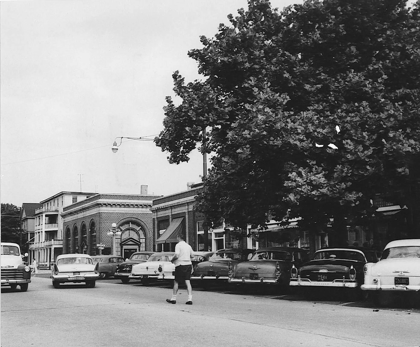 Main Ave Northside towards Pilgrim Pathway