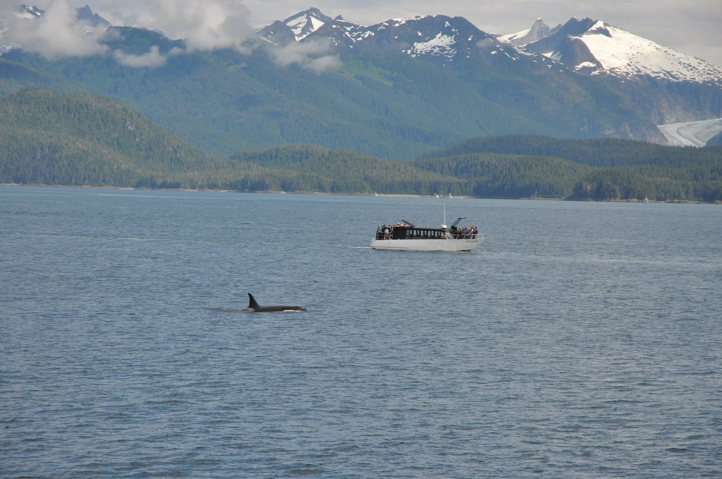 DSC_0494.JPG