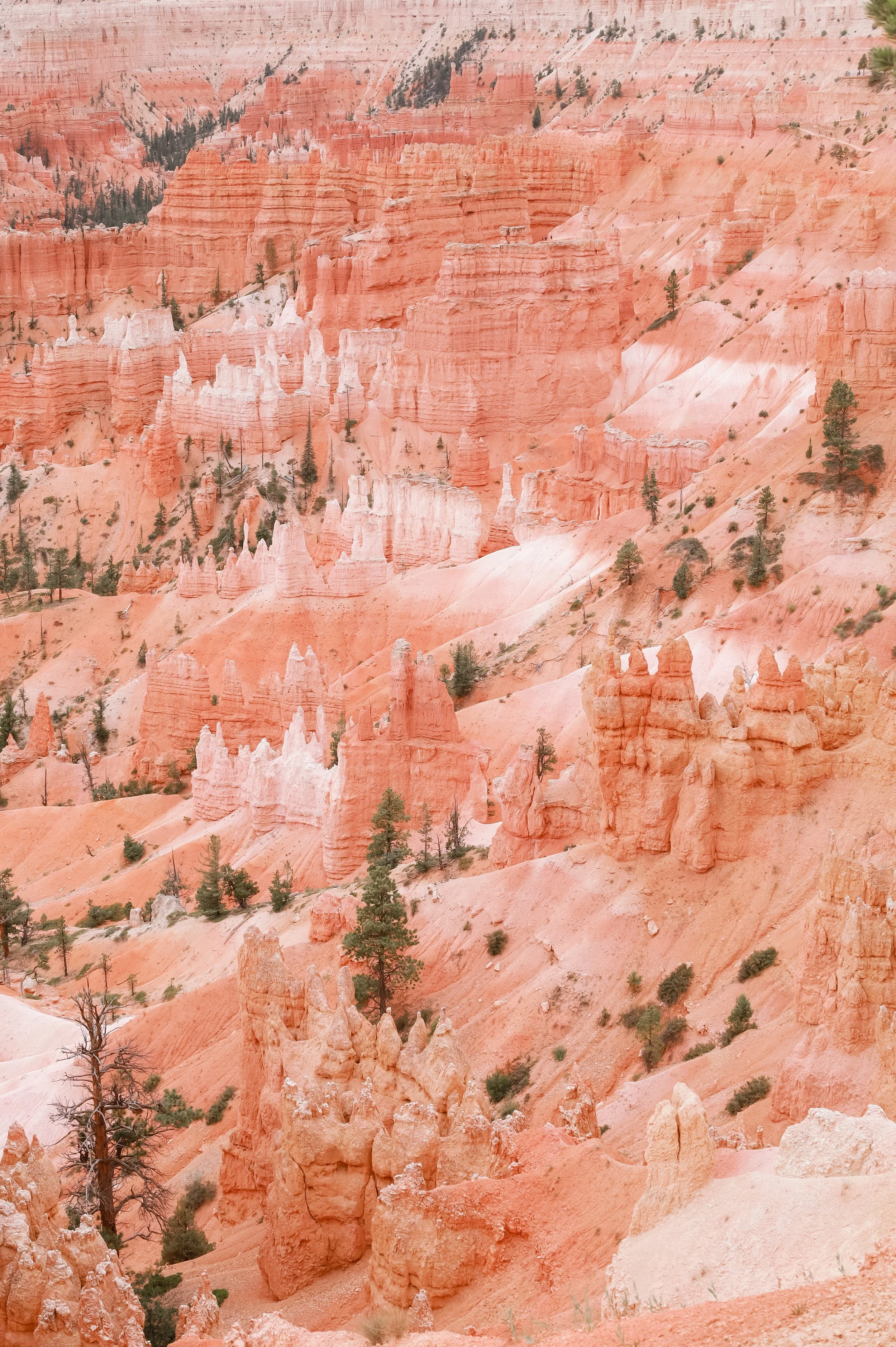 Hoodoos | Bryce Canyon