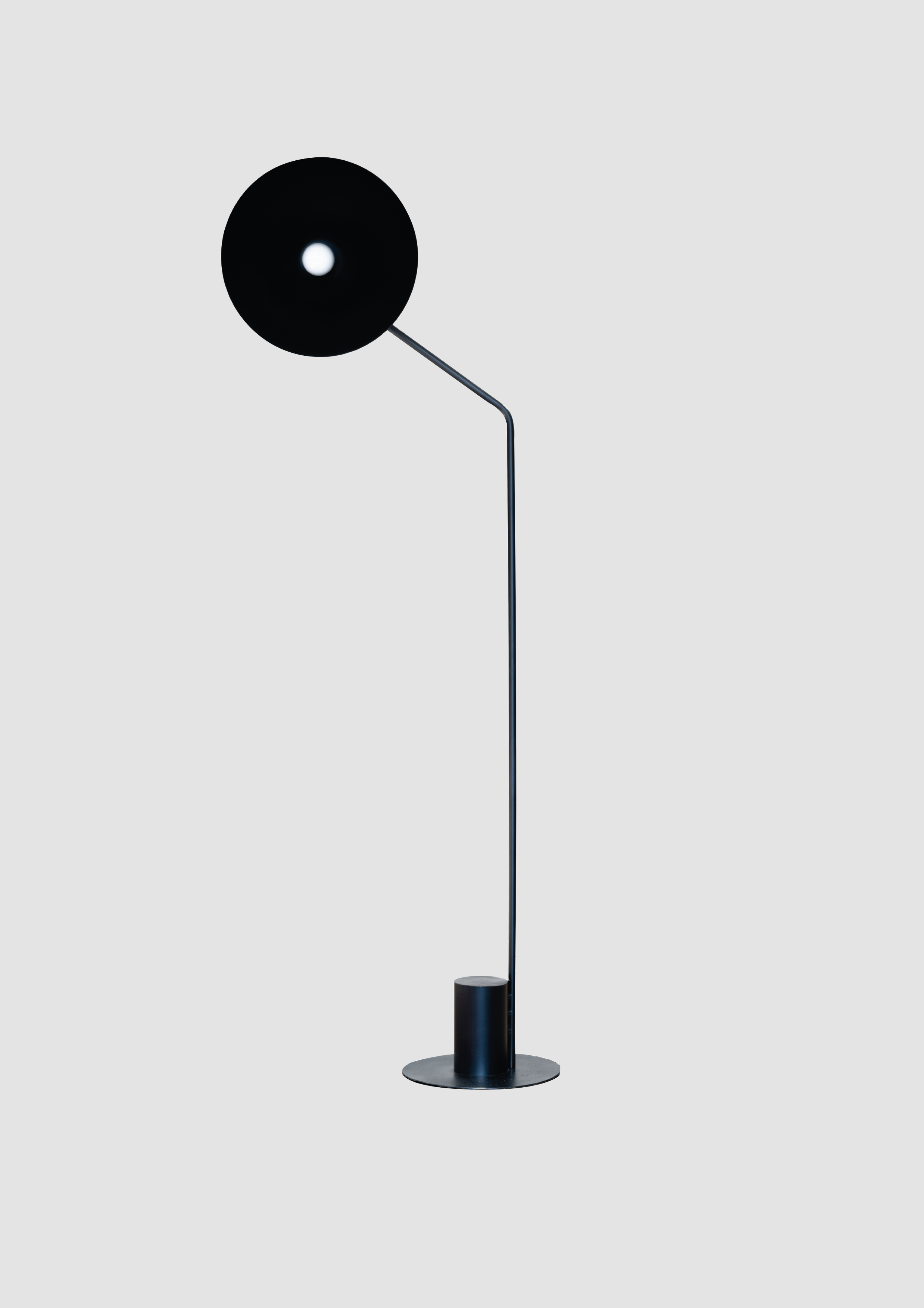 Cyclopedus_n°6_fond_gris.png