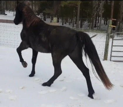 Screenshot_20220117-104412_Video Player.jpg