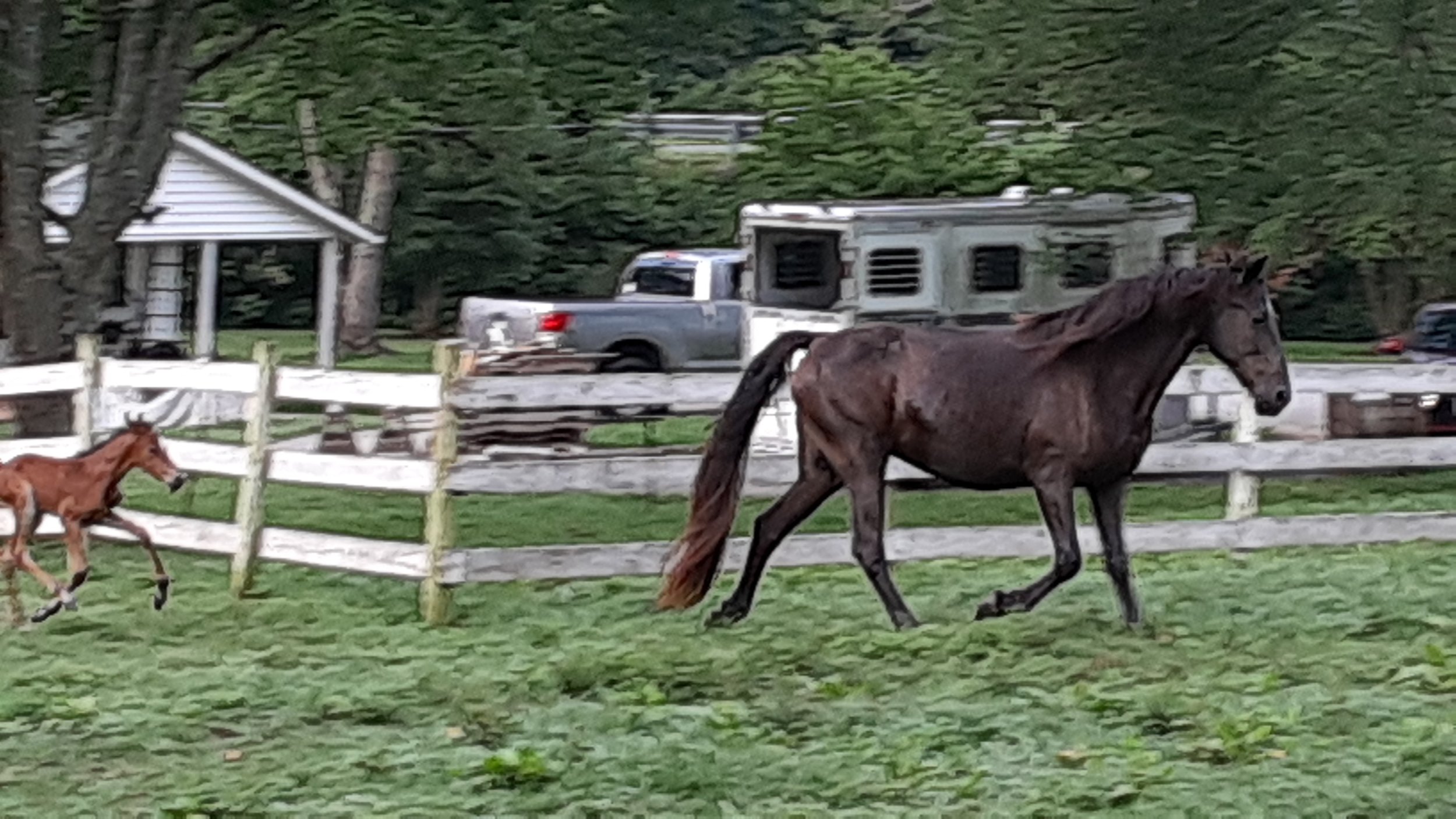 20220804_072342.jpg