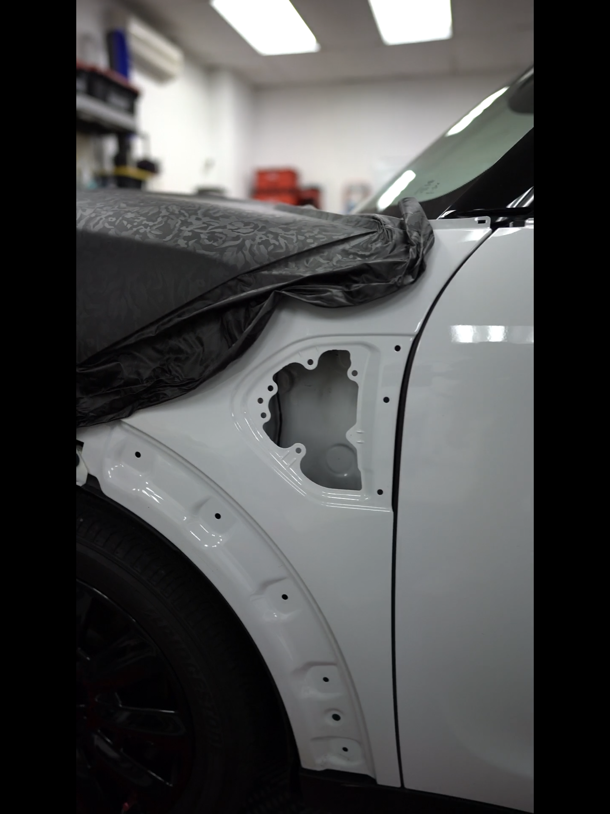 vinyl wwl website.PNG