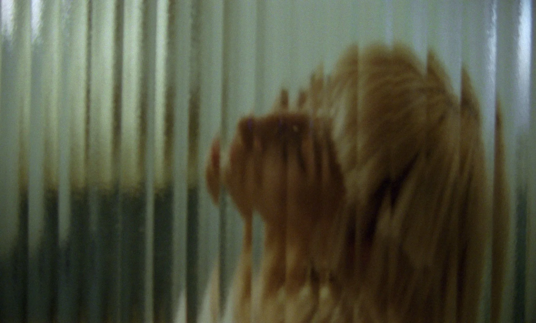 Still 2025-11-15 120514_1.56.1.jpg