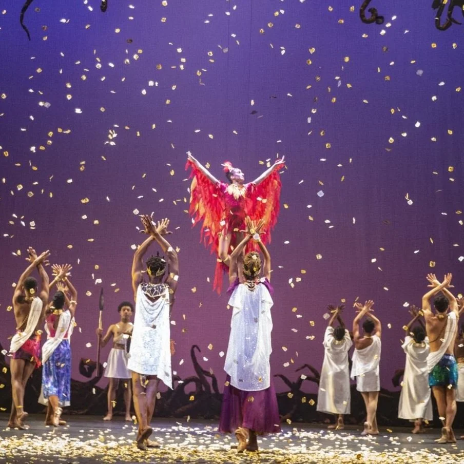 Collage Dance Collective and the School of Dance