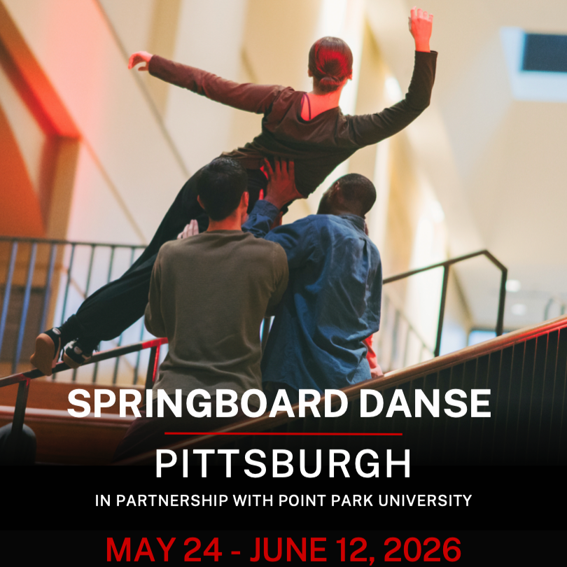 Springboard Danse | Pittsburgh Summer Project