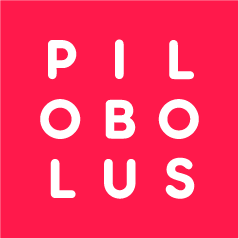 Pilobolus Auditions